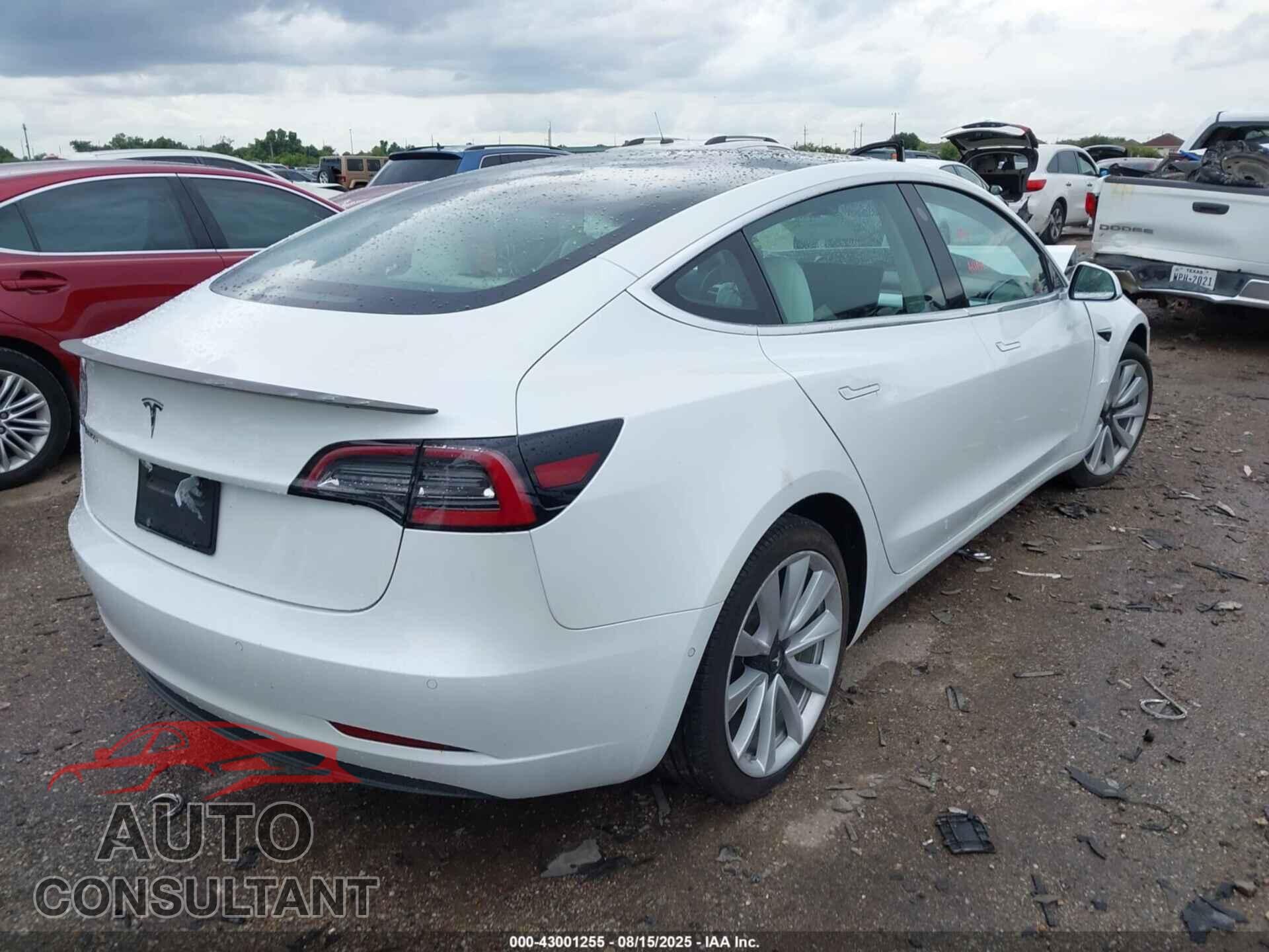 TESLA MODEL 3 2019 - 5YJ3E1EA1KF315142