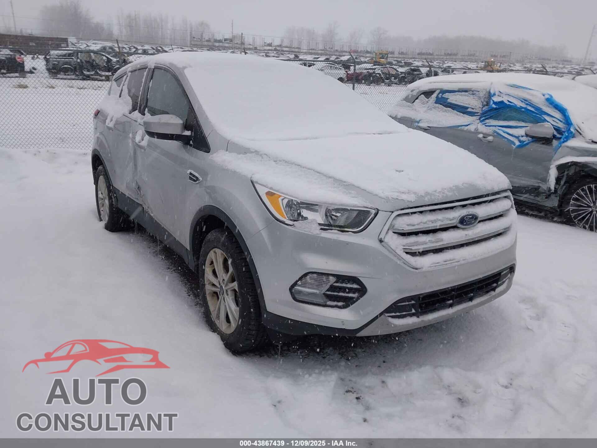 FORD ESCAPE 2019 - 1FMCU9GD3KUC51391
