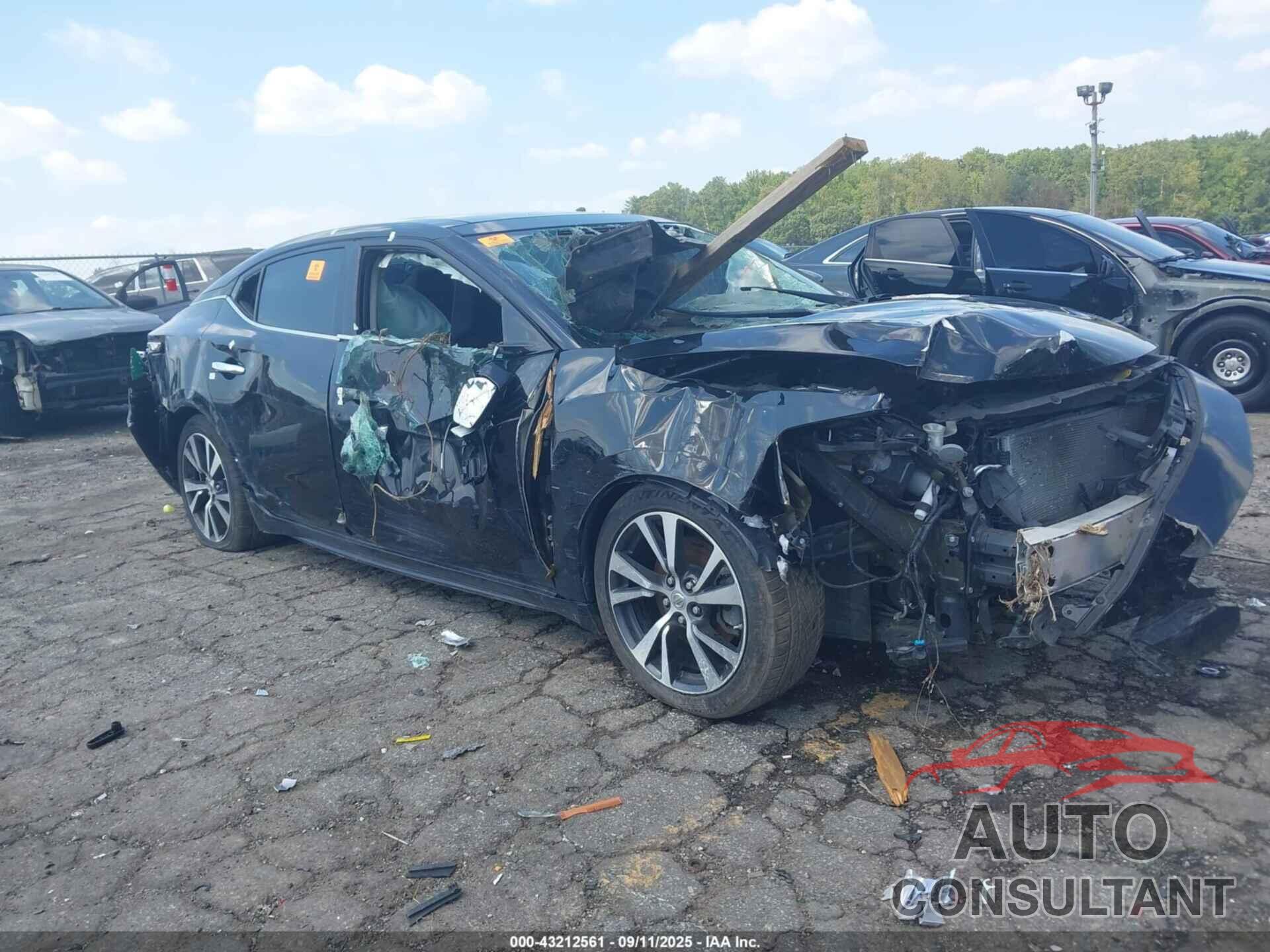 NISSAN MAXIMA 2016 - 1N4AA6AP3GC409642