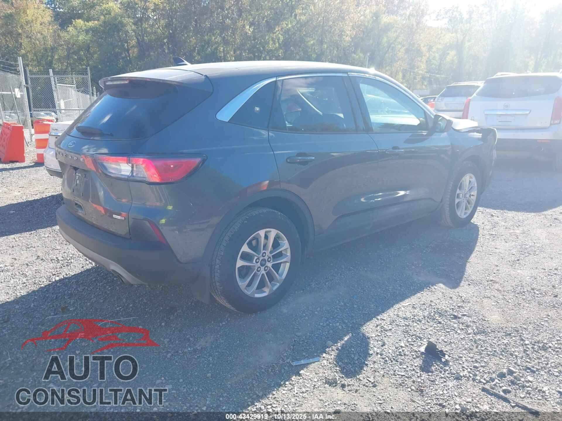 FORD ESCAPE 2020 - 1FMCU9G61LUA96813