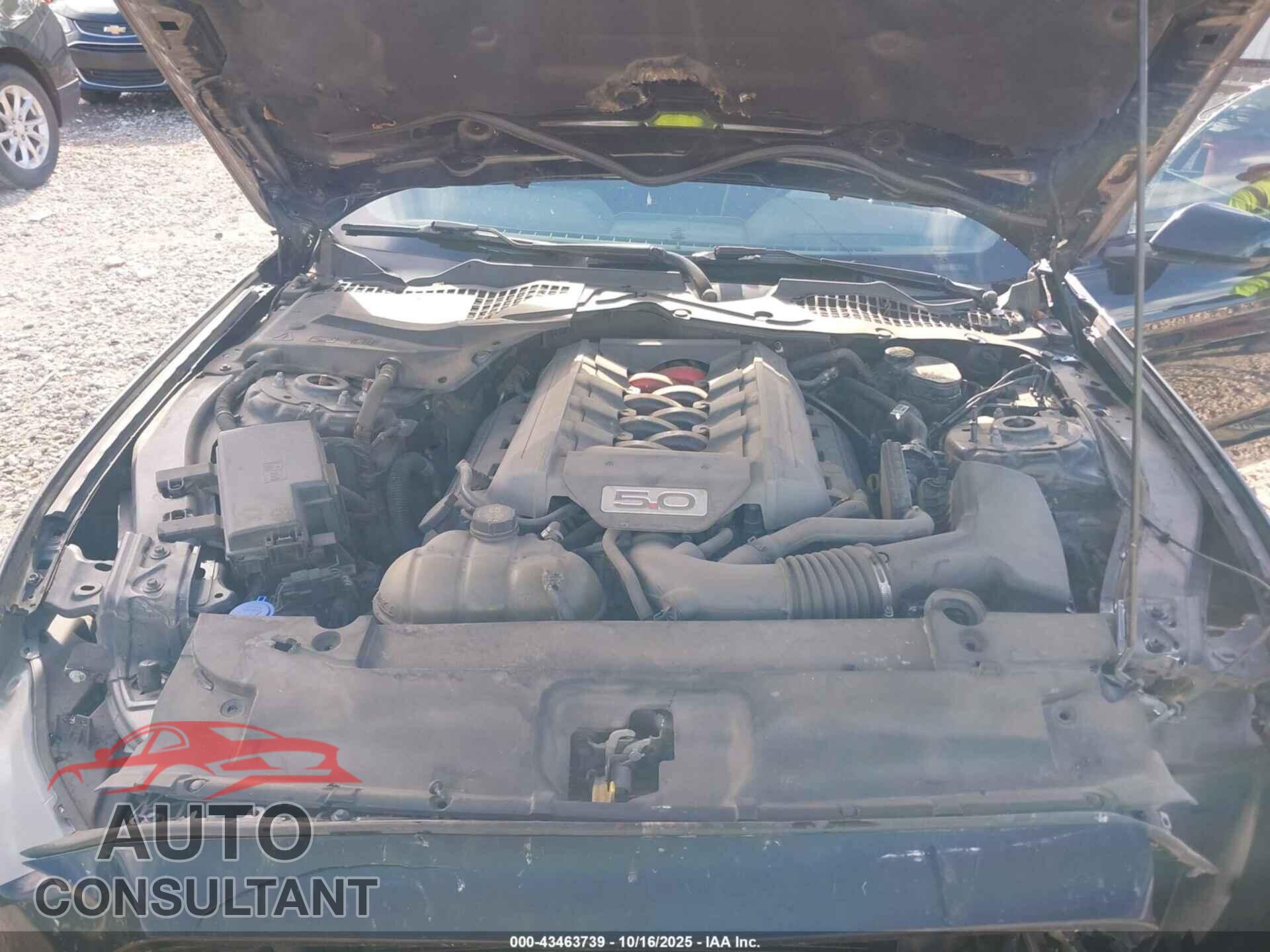 FORD MUSTANG 2016 - 1FA6P8CF3G5266880