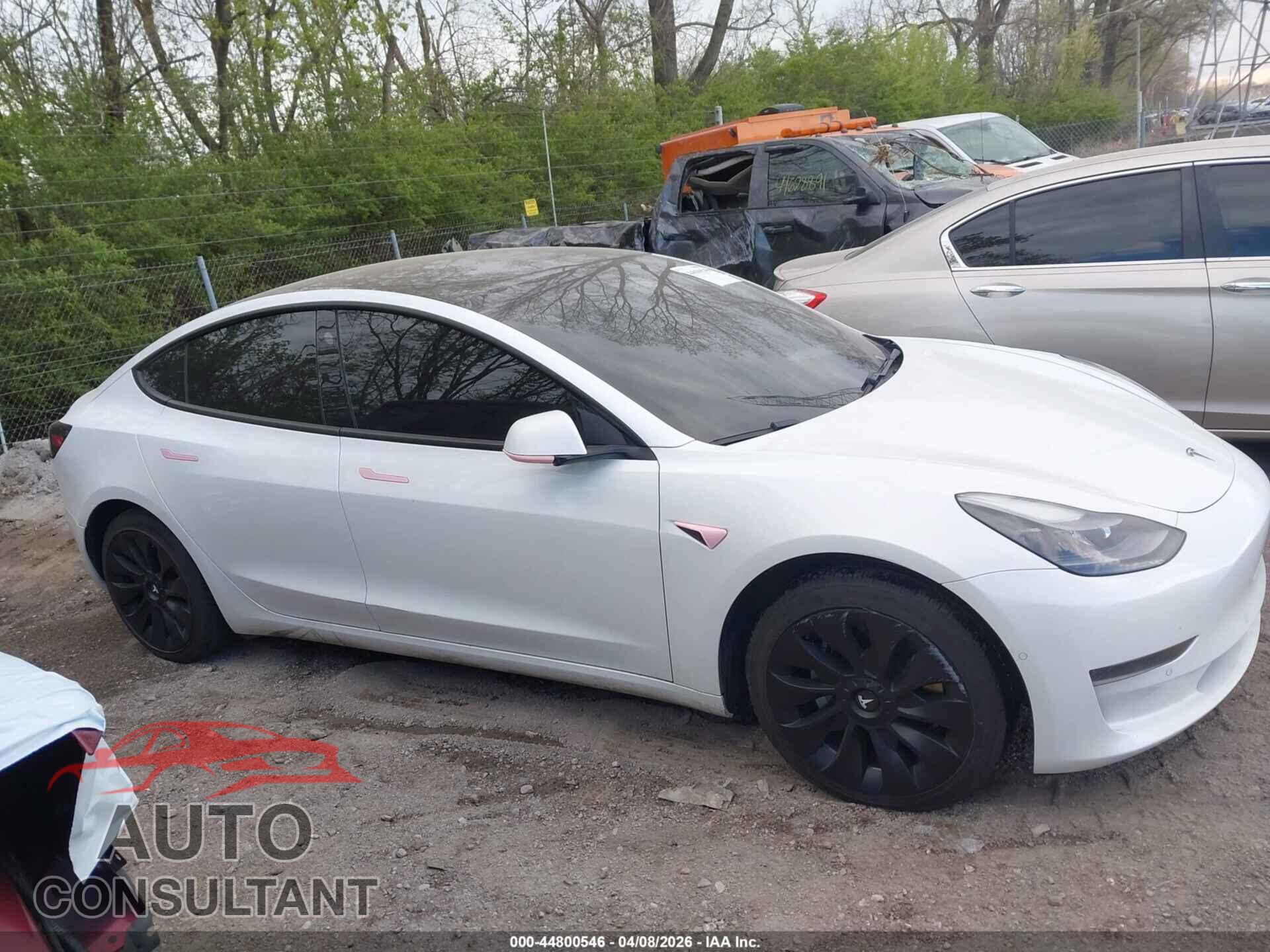 TESLA MODEL 3 2021 - 5YJ3E1EA2MF017346