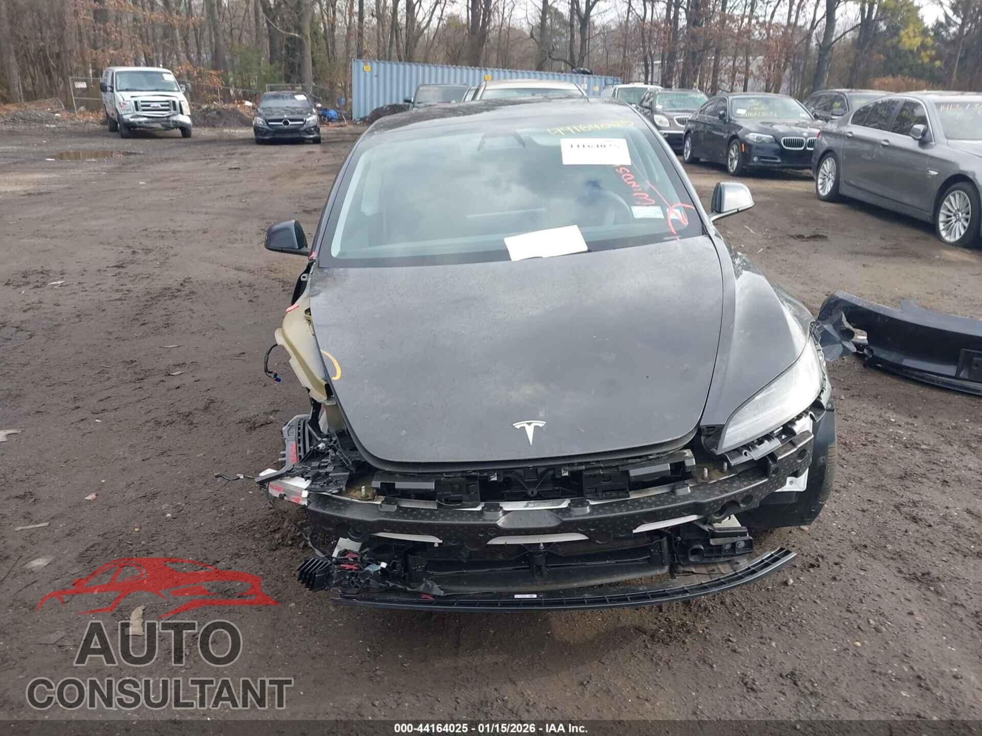 TESLA MODEL 3 2024 - 5YJ3E1EA4RF768116