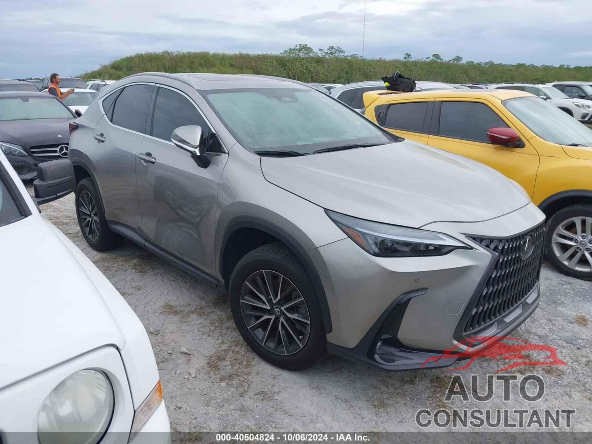 LEXUS NX 2024 - 2T2GGCEZ0RC053704