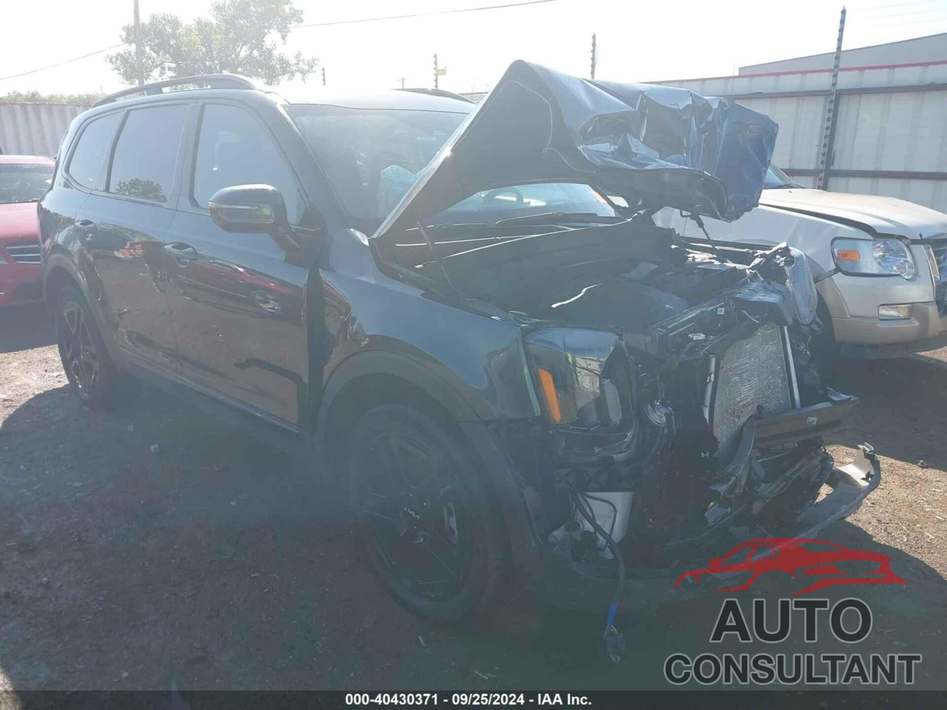 KIA TELLURIDE 2024 - 5XYP5DGC4RG418236