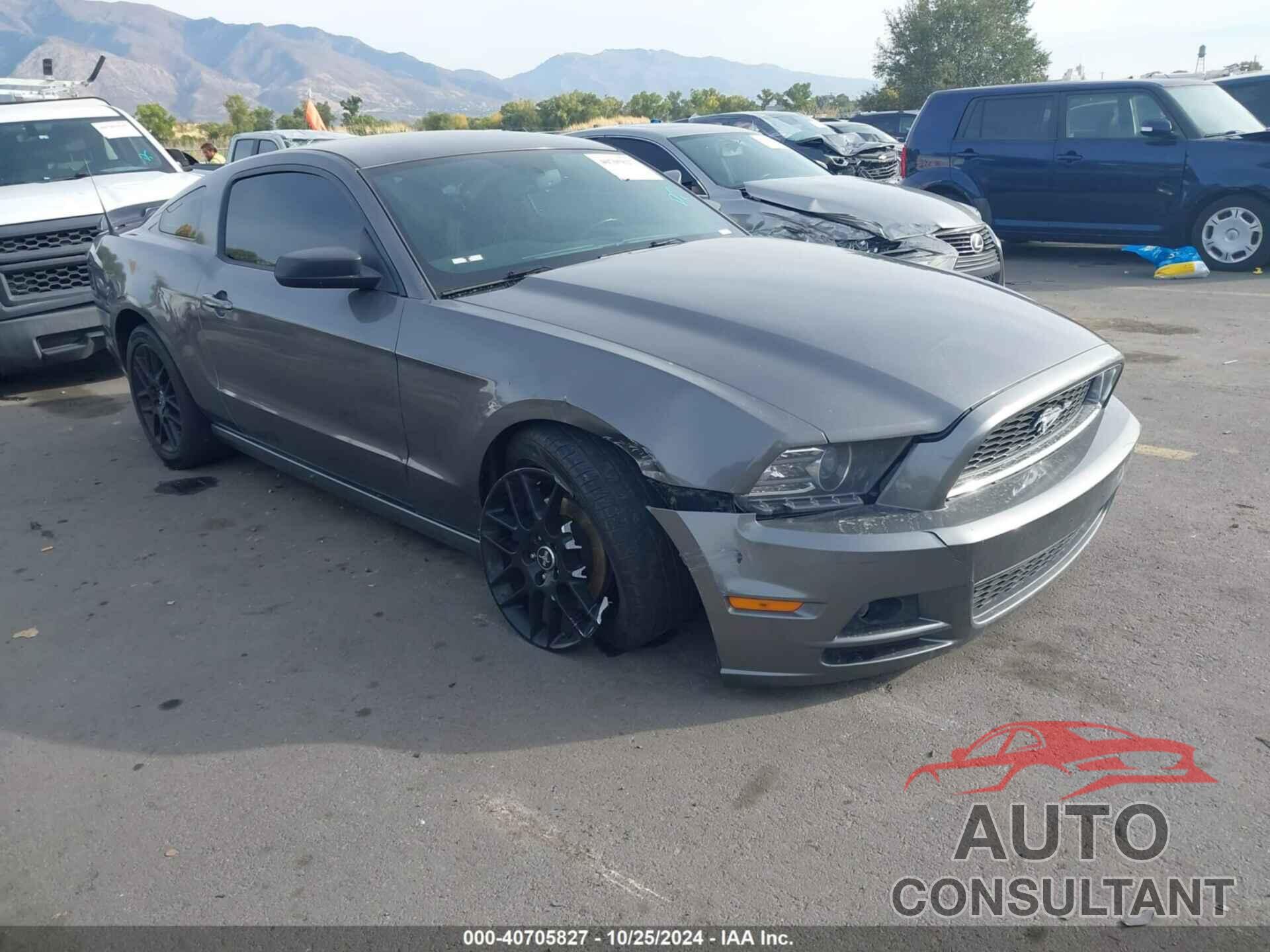 FORD MUSTANG 2014 - 1ZVBP8AMXE5269554