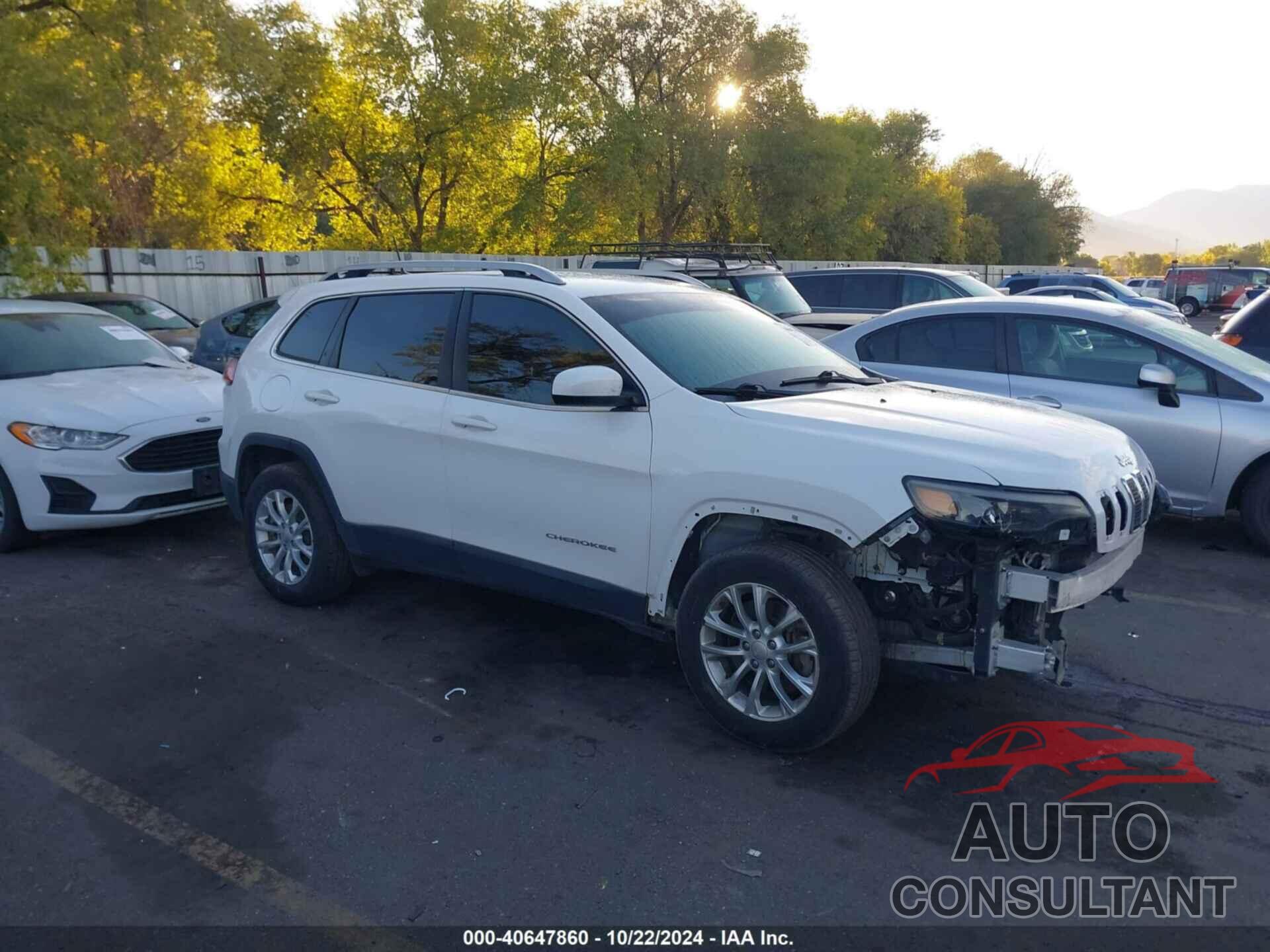 JEEP CHEROKEE 2019 - 1C4PJMCX0KD104155