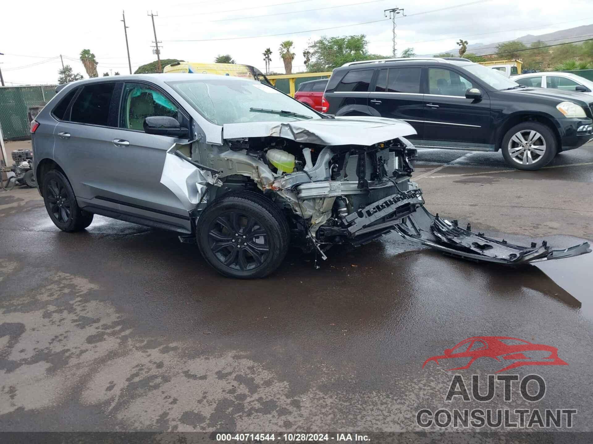 FORD EDGE 2024 - 2FMPK4G95RBA39601
