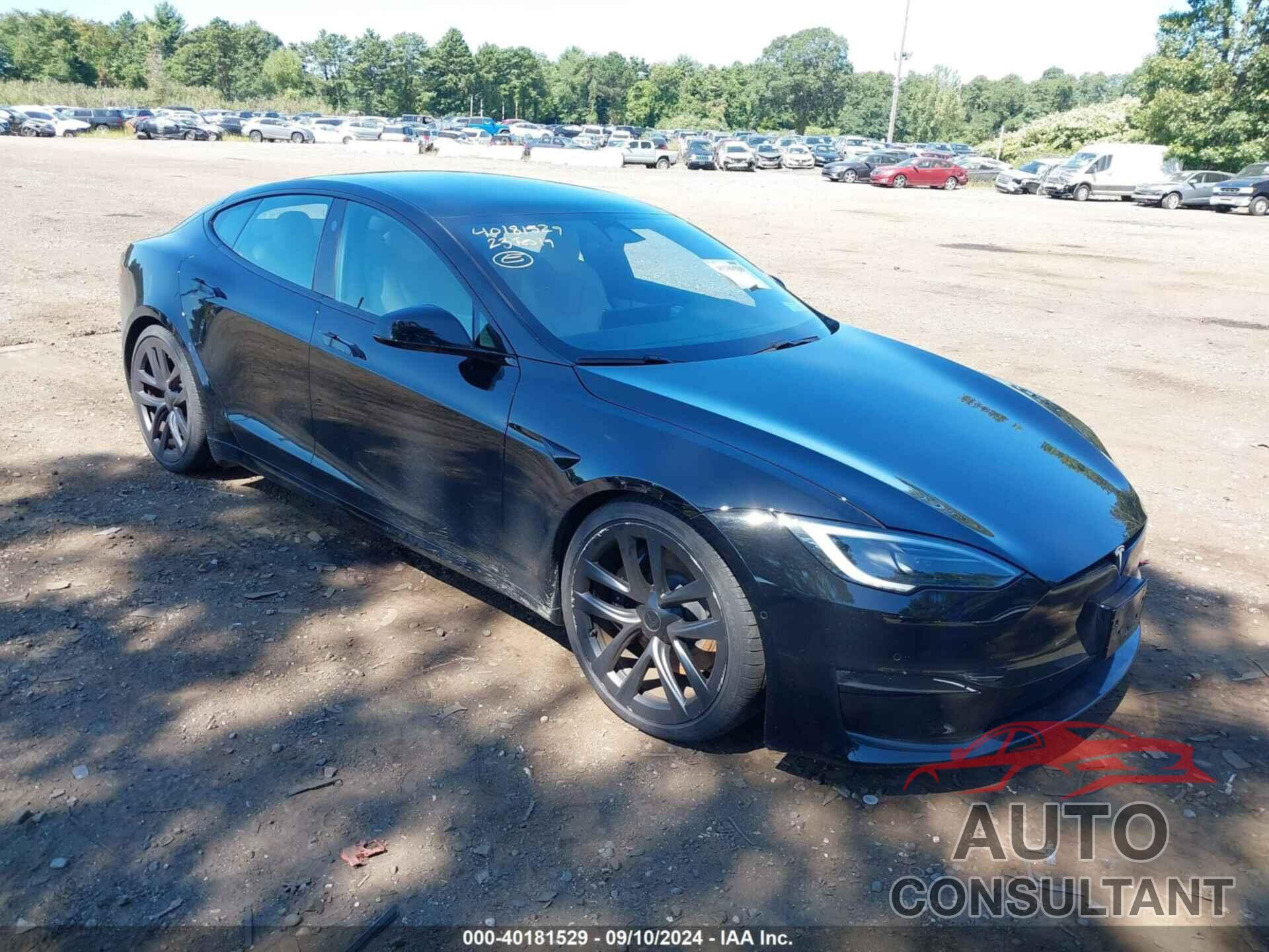 TESLA MODEL S 2023 - 5YJSA1E55PF498742