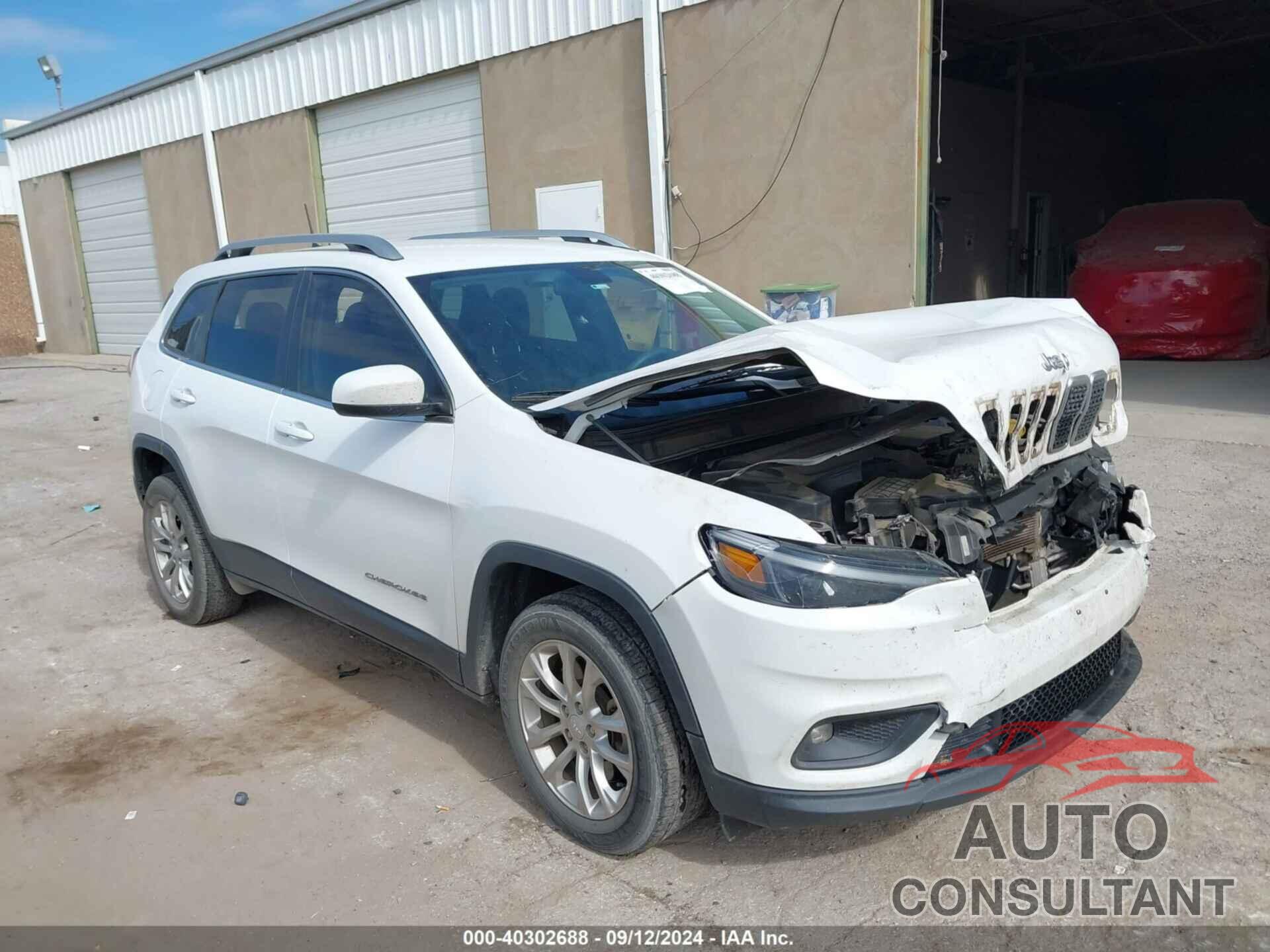 JEEP CHEROKEE 2019 - 1C4PJLCB7KD297967