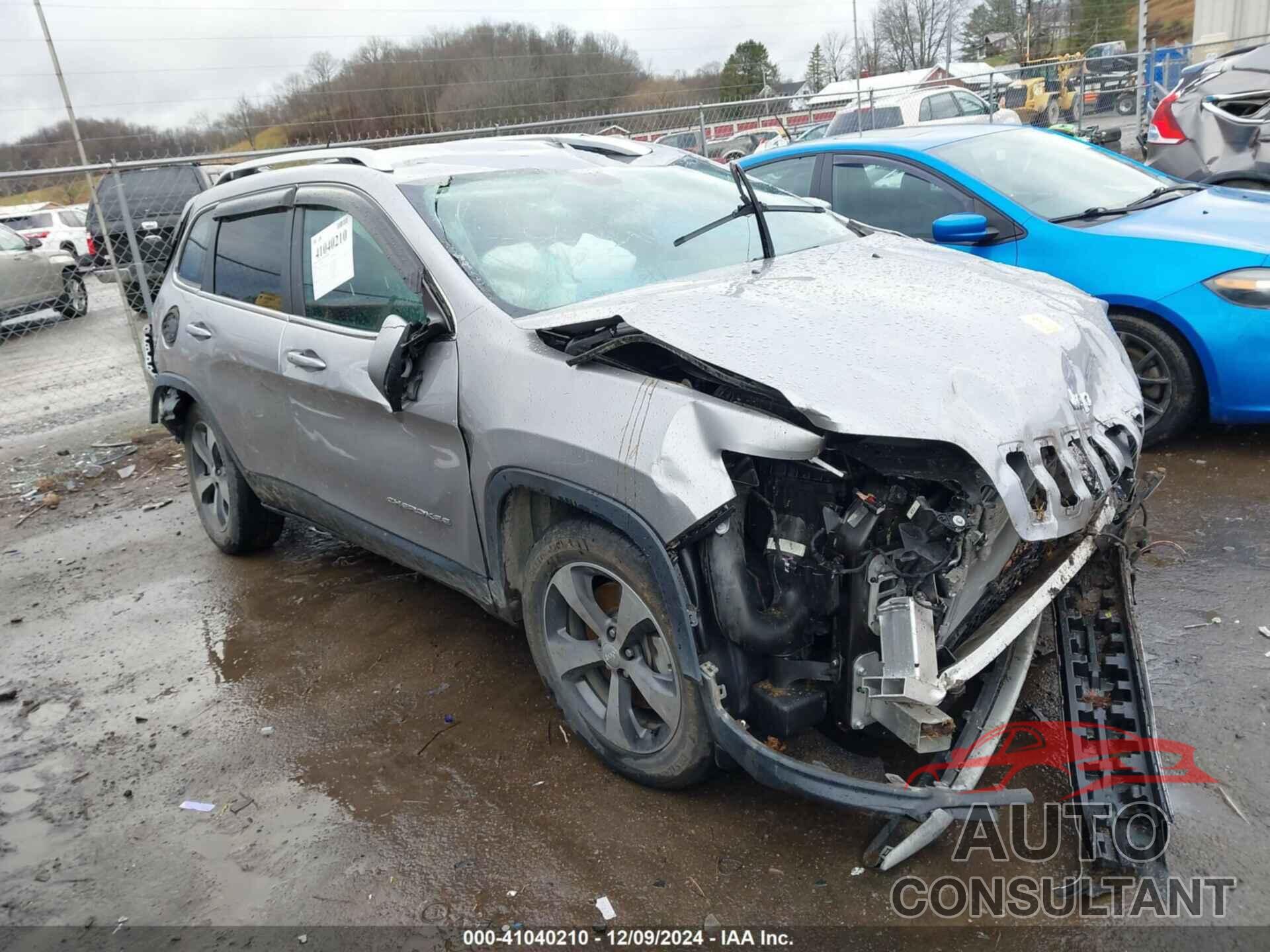 JEEP CHEROKEE 2019 - 1C4PJMDX4KD256387