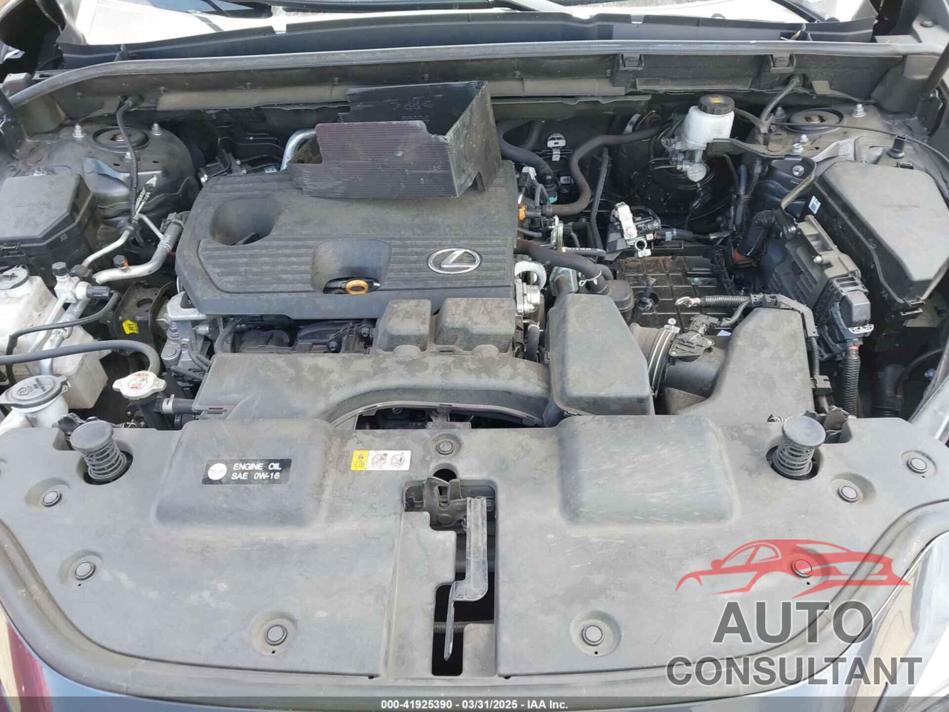 LEXUS NX 250 2024 - 2T2GDCAZ4RC006643