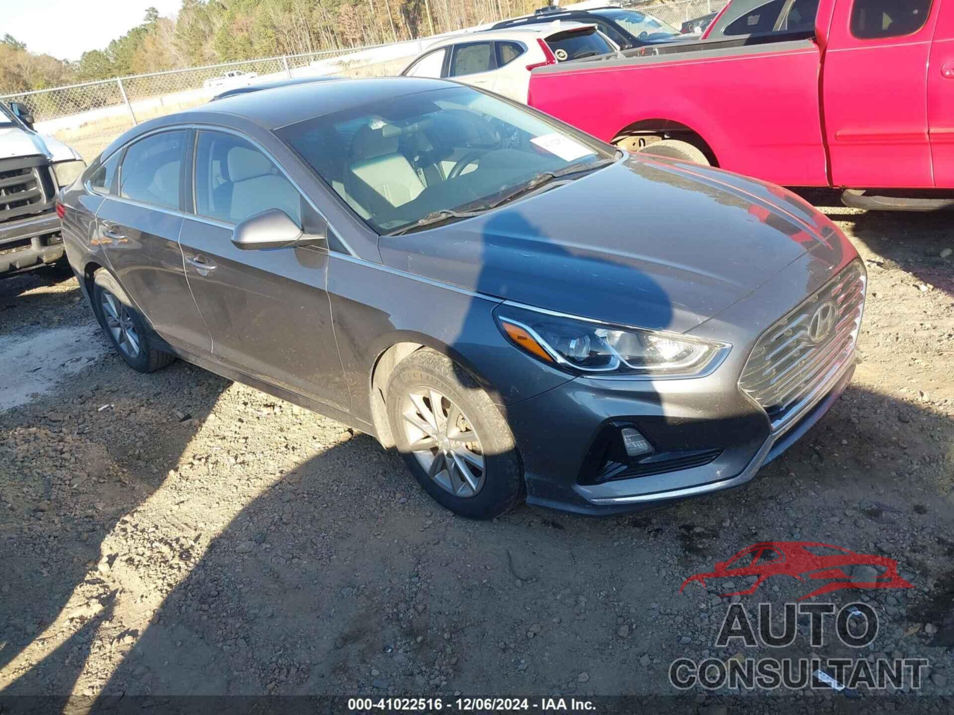 HYUNDAI SONATA 2019 - 5NPE24AF8KH803784