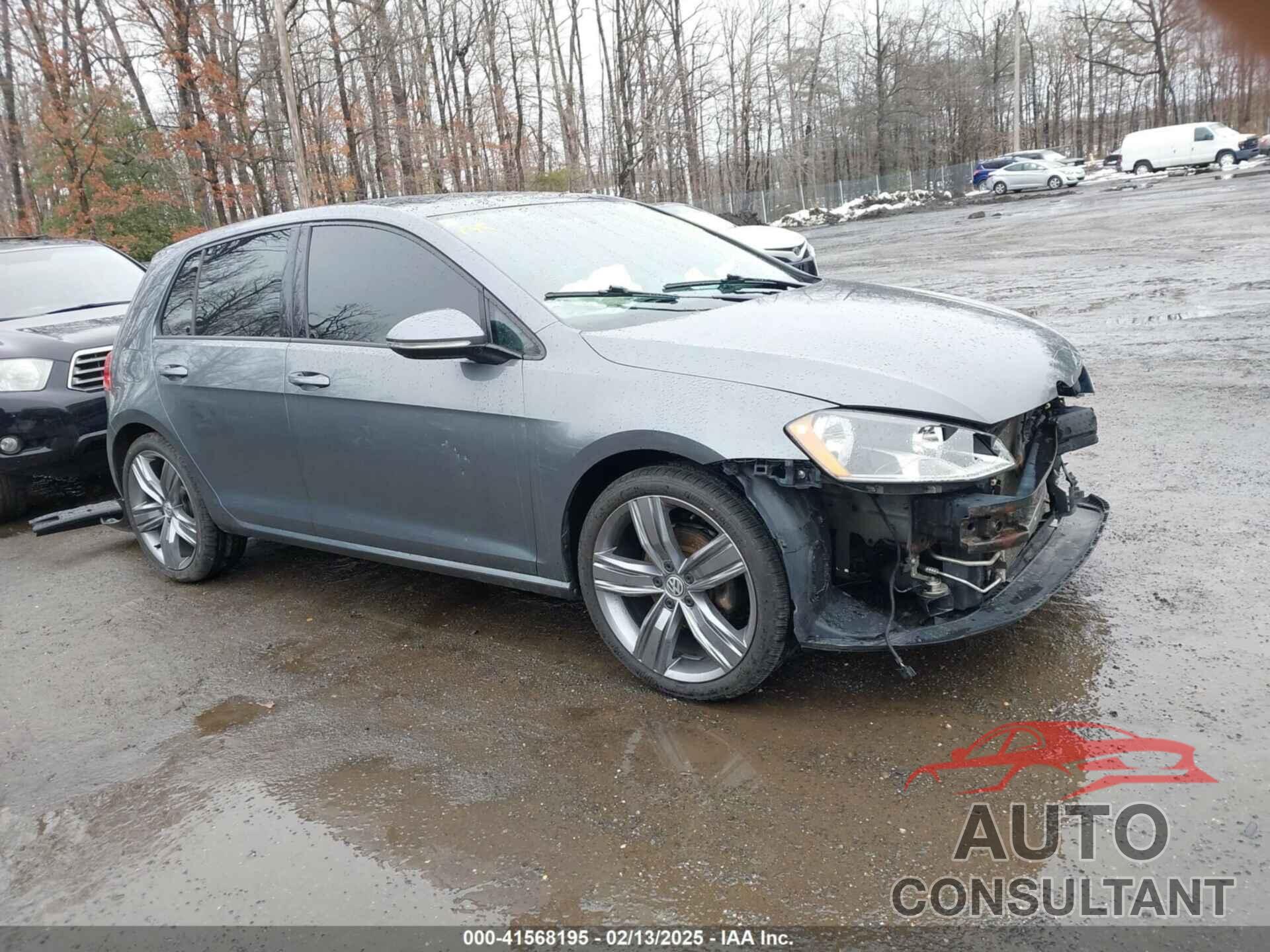 VOLKSWAGEN GOLF 2016 - 3VW217AU3GM018965