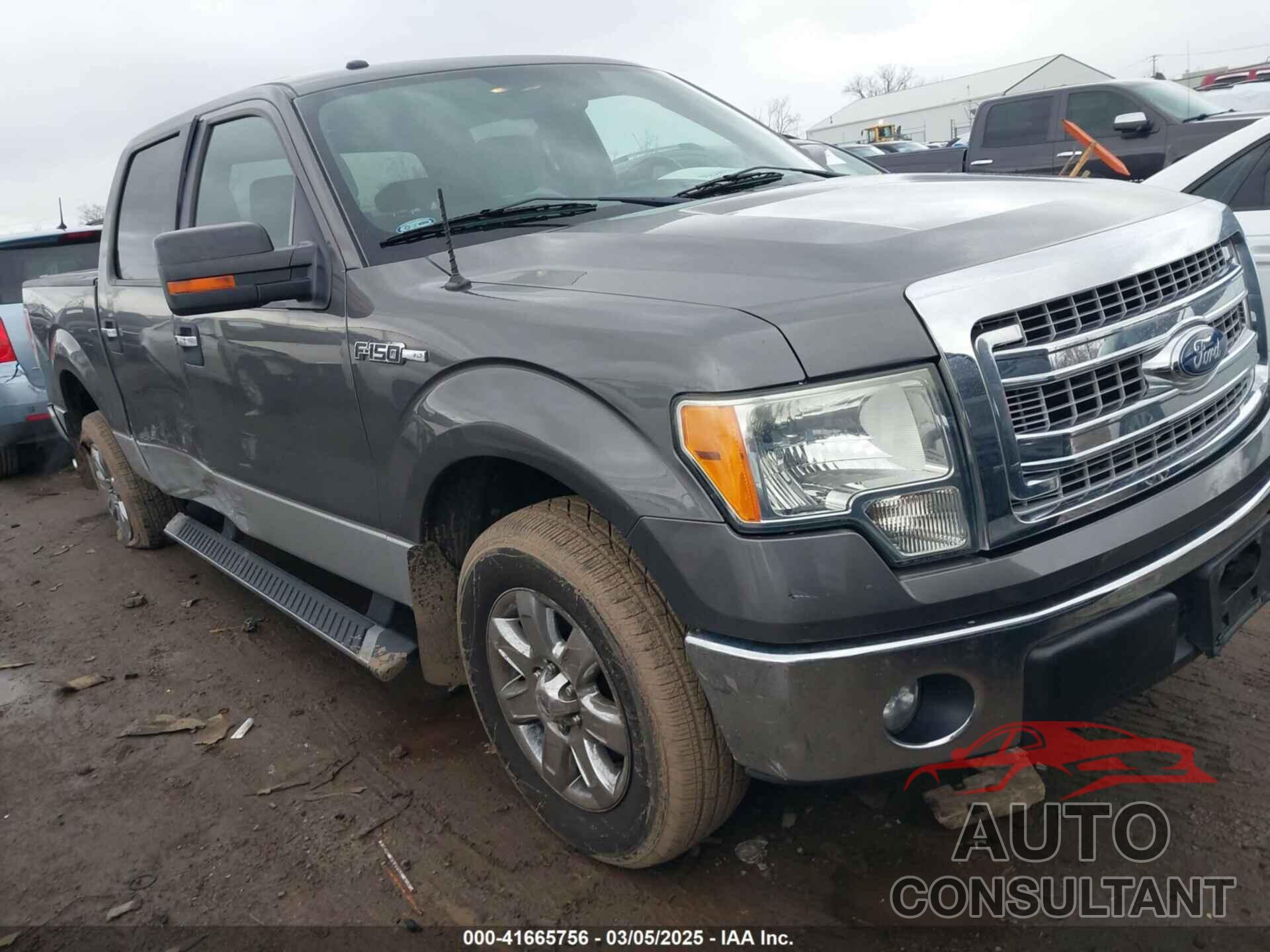 FORD F-150 2013 - 1FTFW1CF5DKE32897
