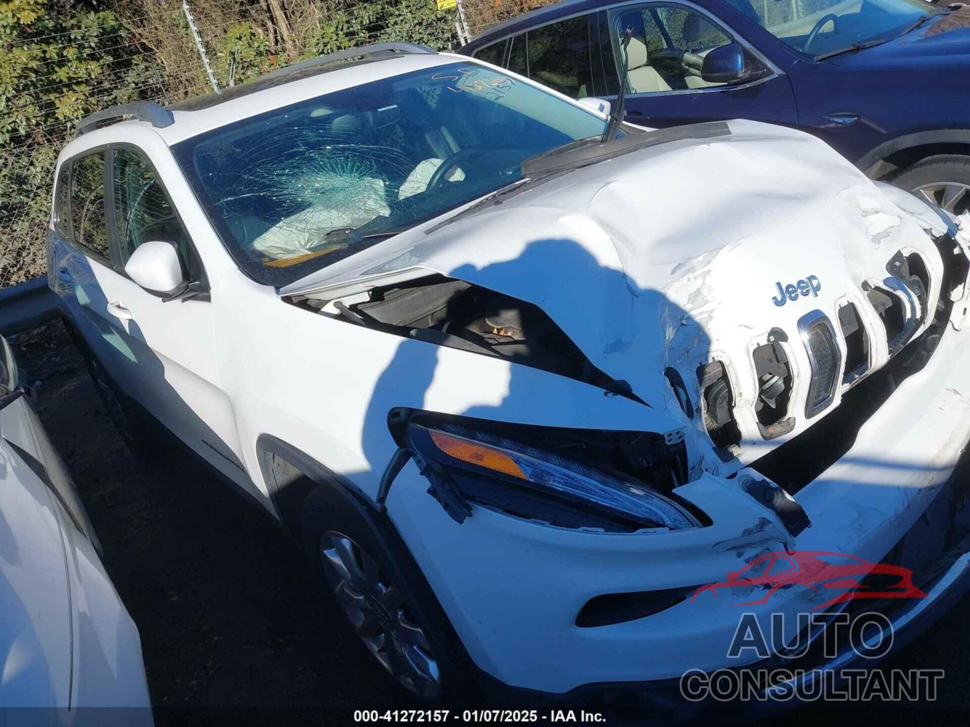 JEEP CHEROKEE 2016 - 1C4PJMDB1GW255763