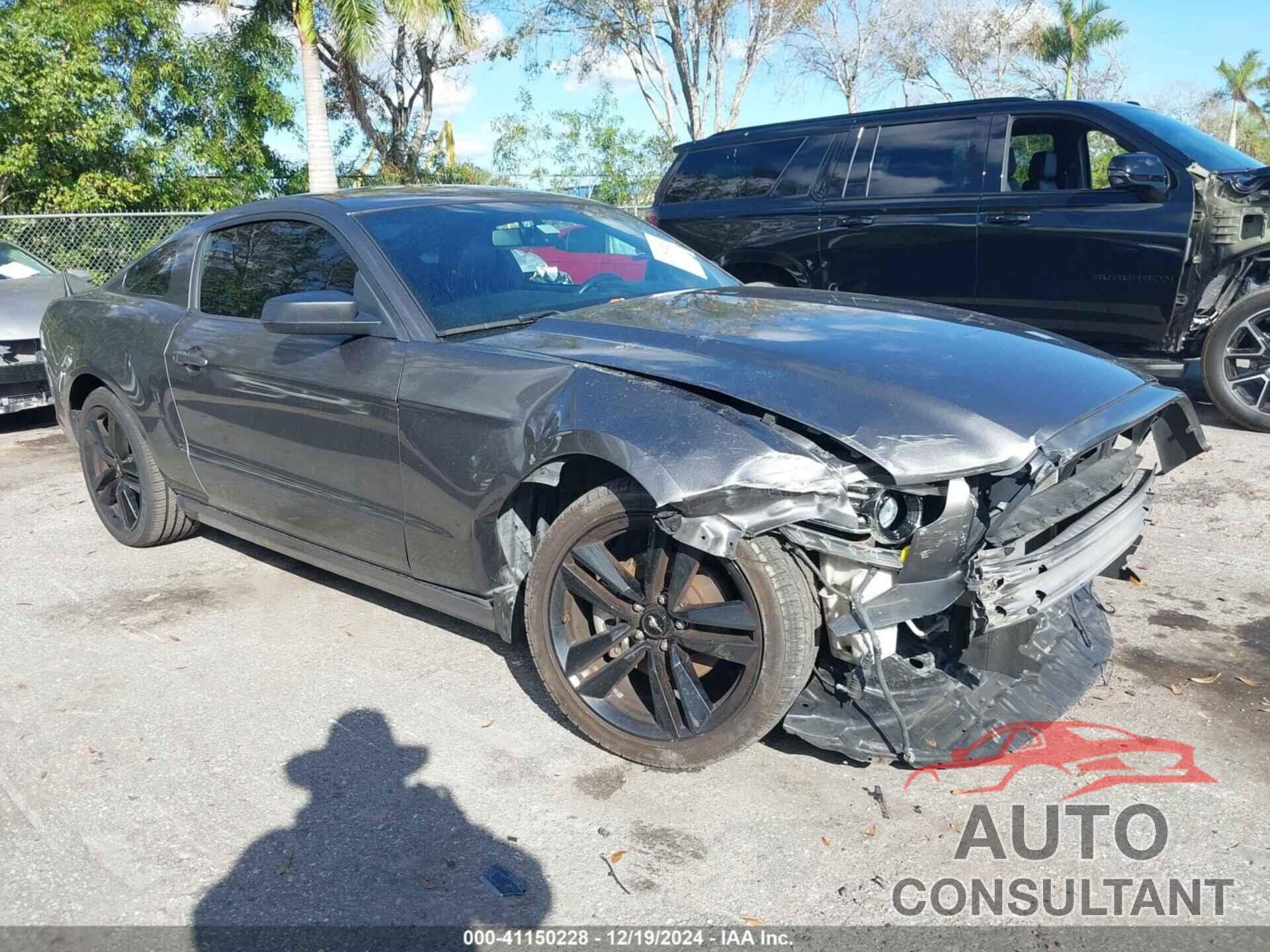 FORD MUSTANG 2014 - 1ZVBP8AM8E5334157