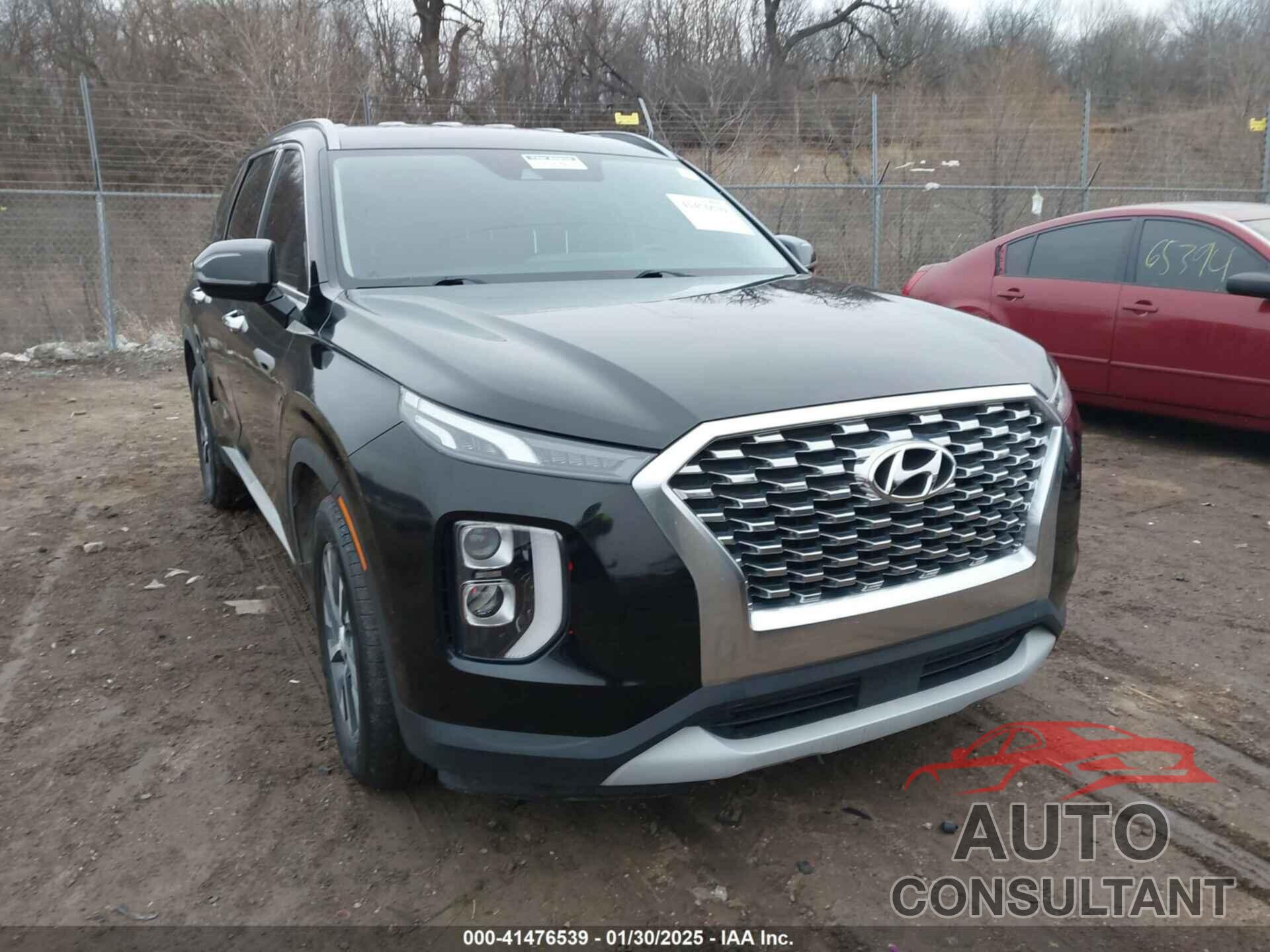 HYUNDAI PALISADE 2020 - KM8R2DHE3LU035925