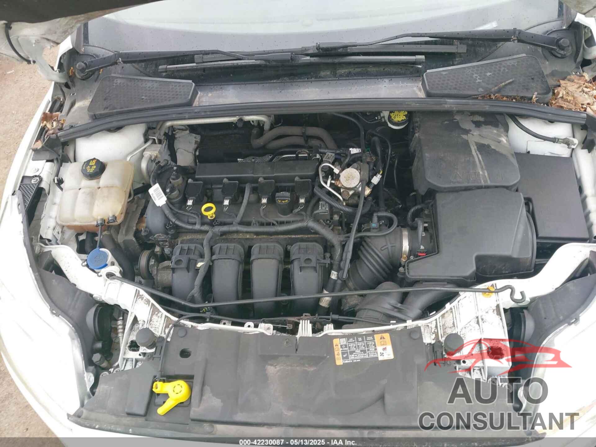 FORD FOCUS 2016 - 1FADP3E24GL386381