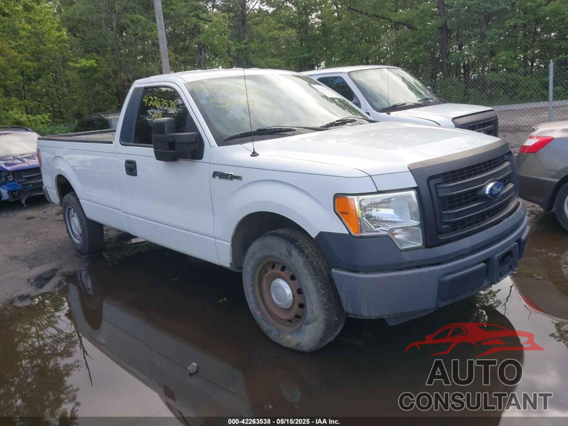 FORD F-150 2013 - 1FTMF1CM1DKG03859