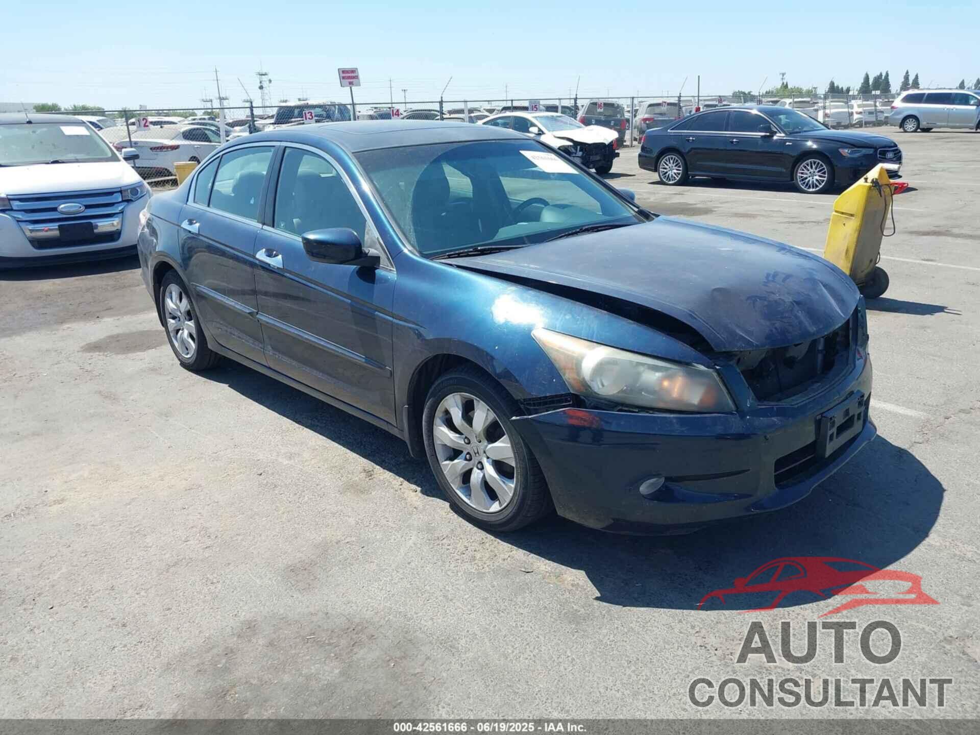 HONDA ACCORD 2010 - 5KBCP3F82AB008404