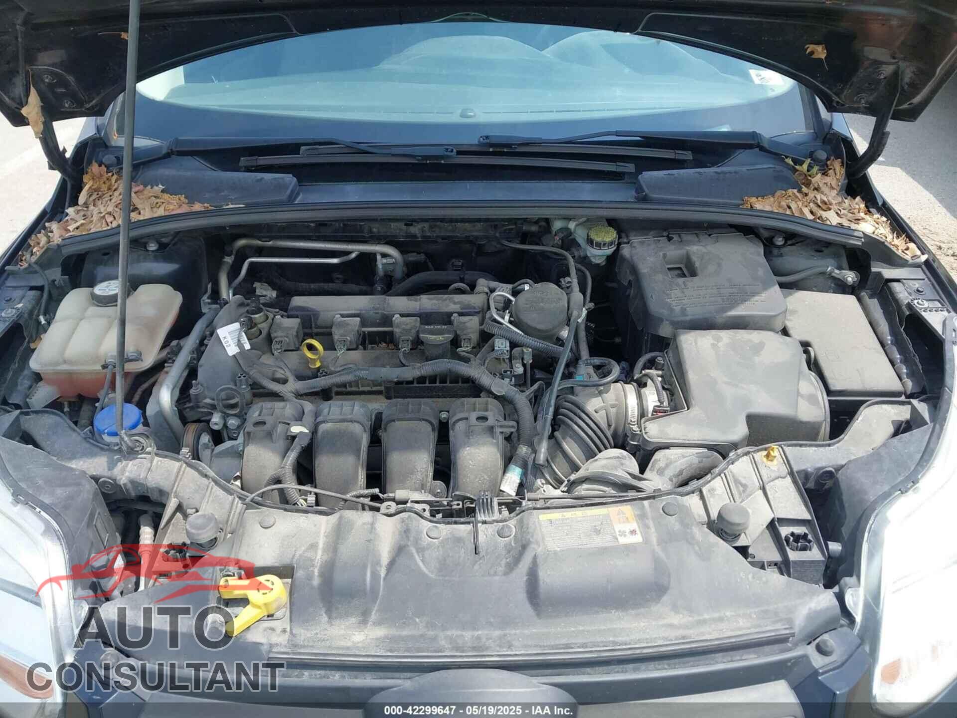 FORD FOCUS 2012 - 1FAHP3F29CL220562