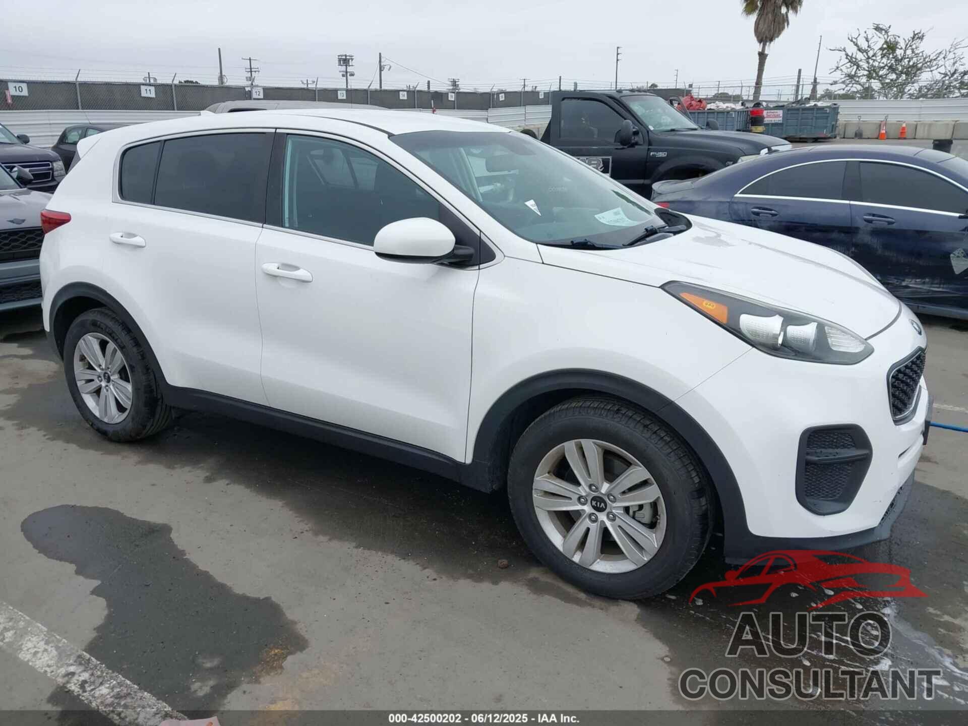 KIA SPORTAGE 2017 - KNDPM3AC1H7300212