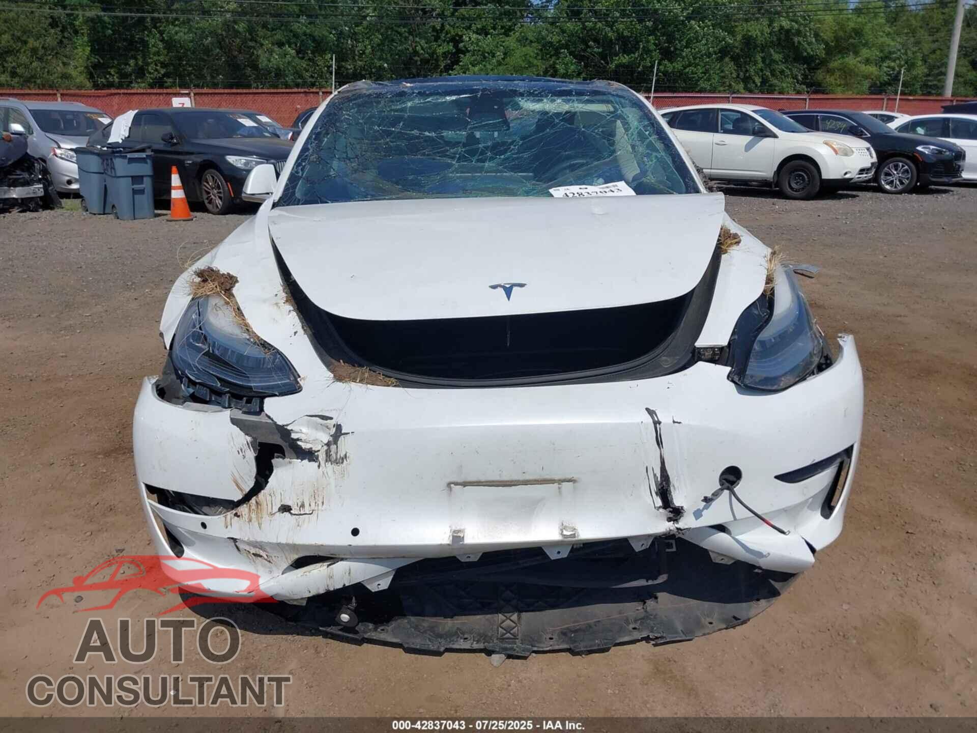TESLA MODEL 3 2019 - 5YJ3E1EA5KF483835