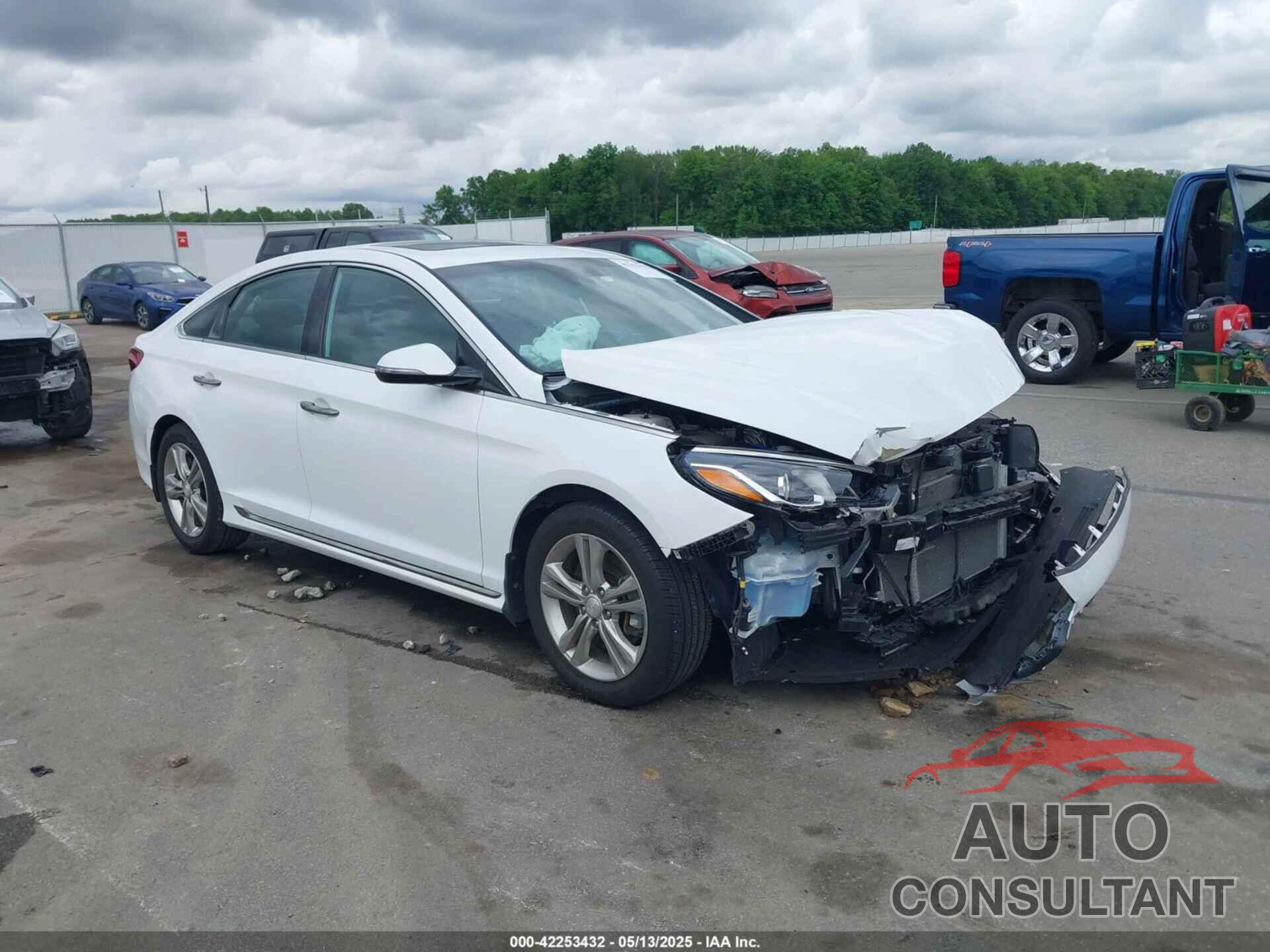 HYUNDAI SONATA 2019 - 5NPE34AF8KH816113
