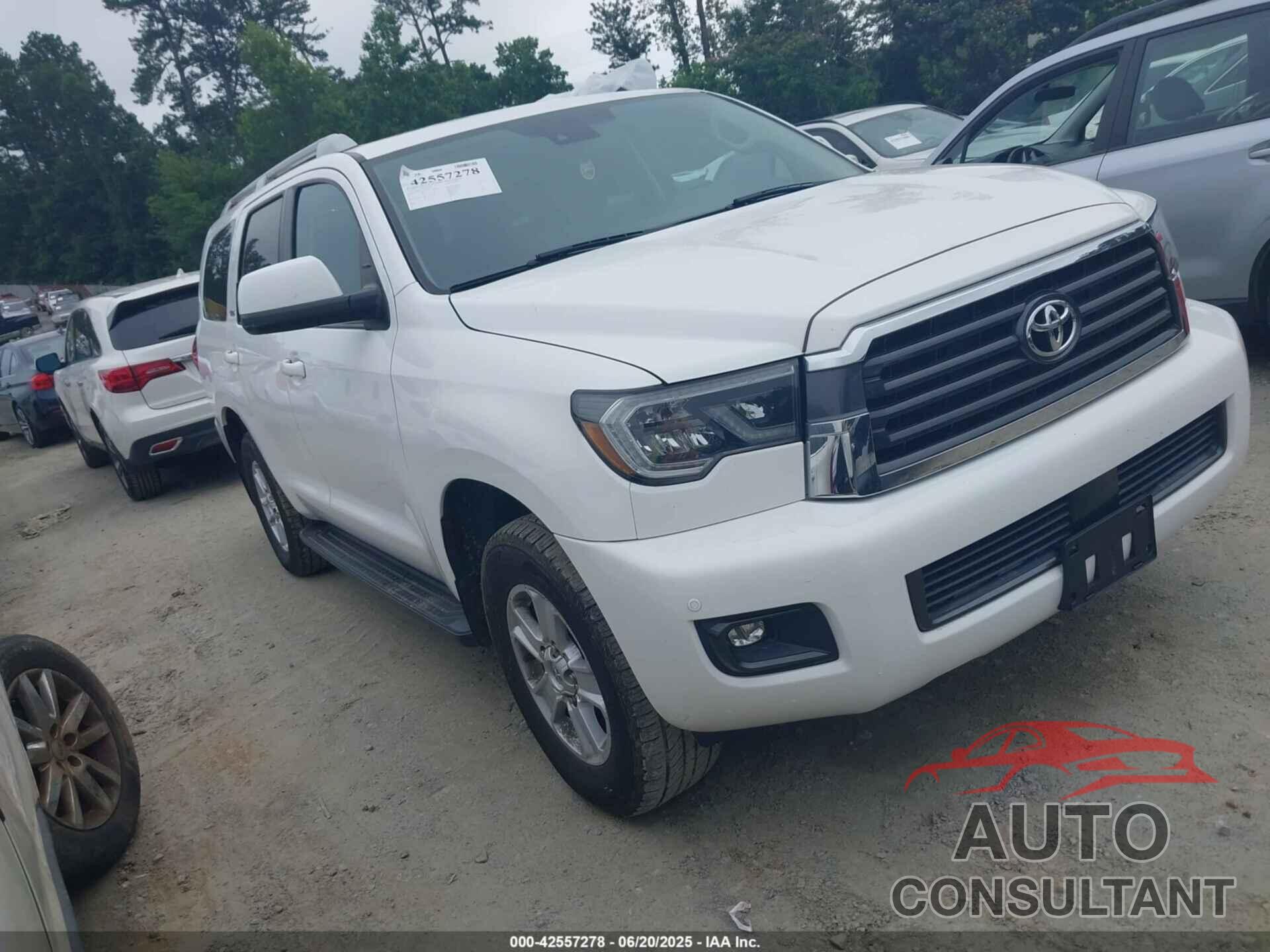 TOYOTA SEQUOIA 2019 - 5TDBY5G16KS170151