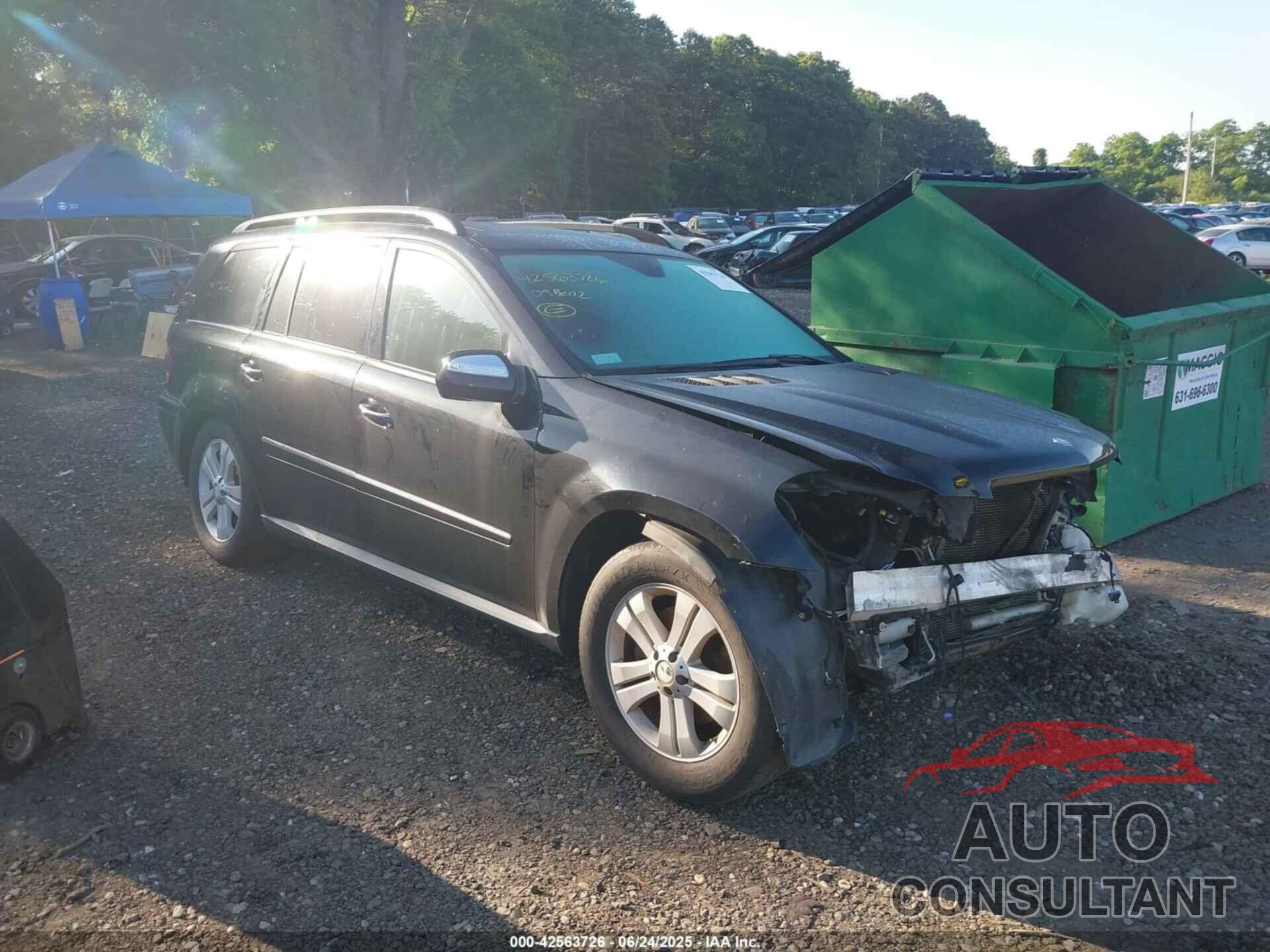 MERCEDES-BENZ GL 450 2009 - 4JGBF71E69A445212