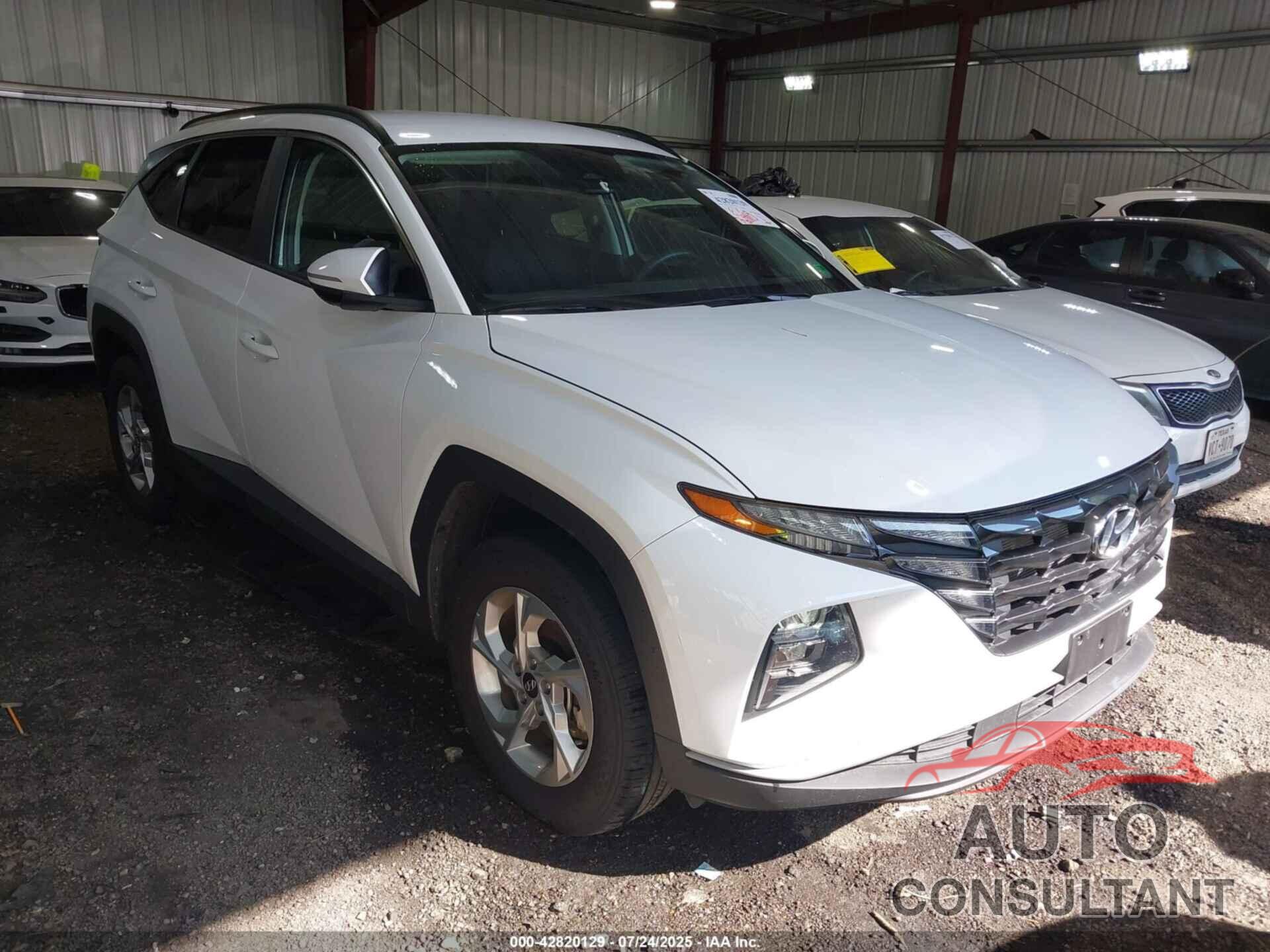 HYUNDAI TUCSON 2023 - 5NMJBCAE8PH197746