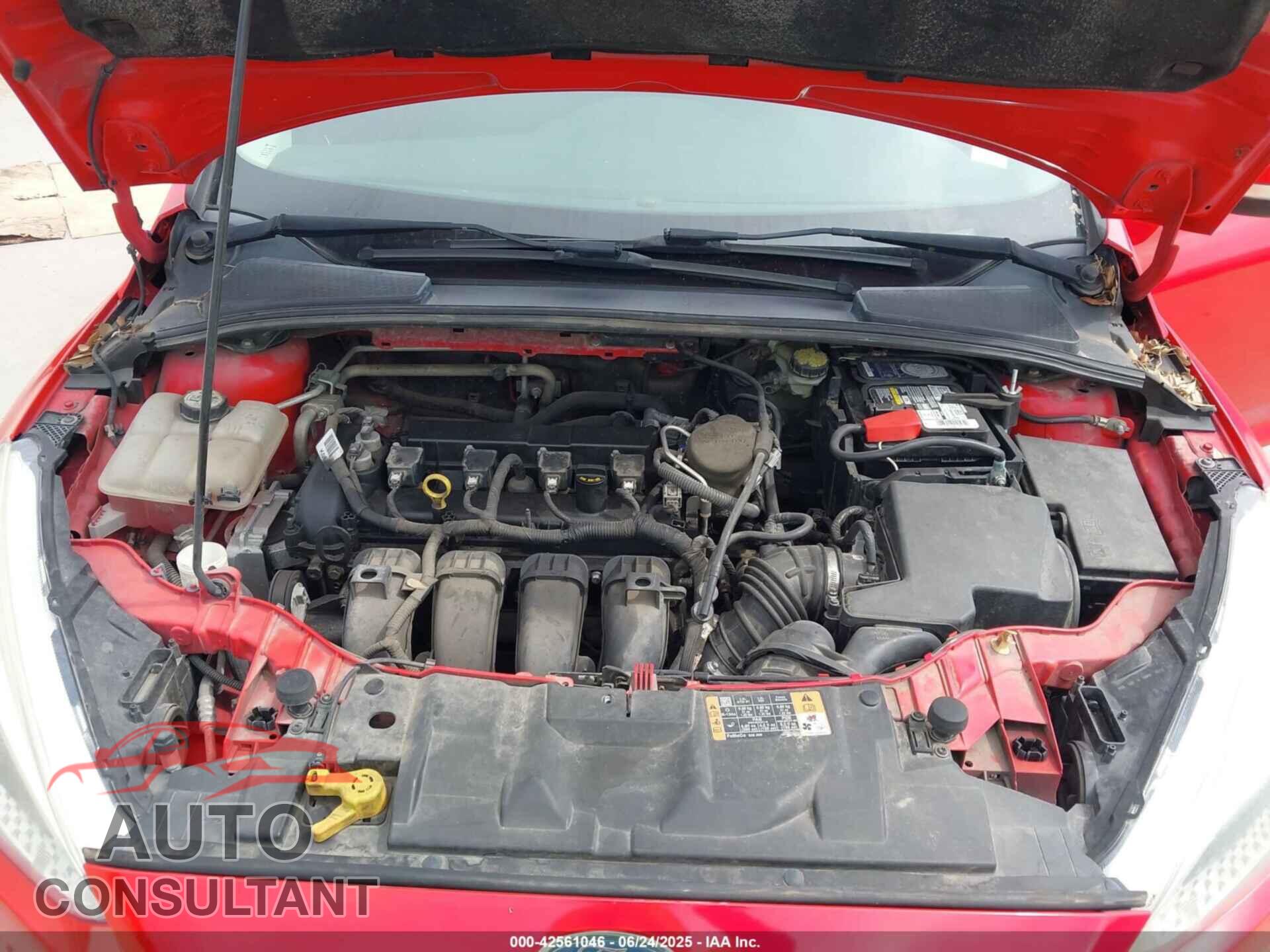 FORD FOCUS 2015 - 1FADP3F29FL384655