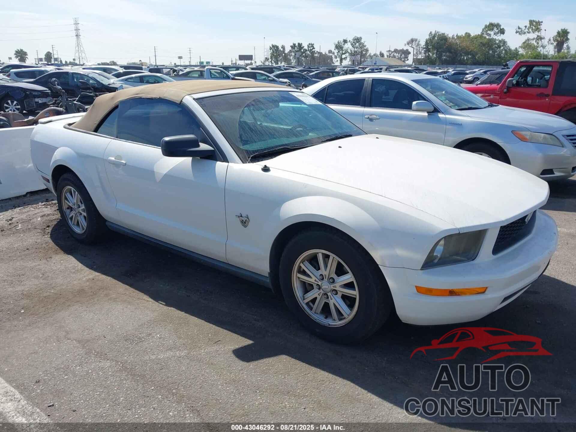 FORD MUSTANG 2009 - 1ZVHT84N895108264