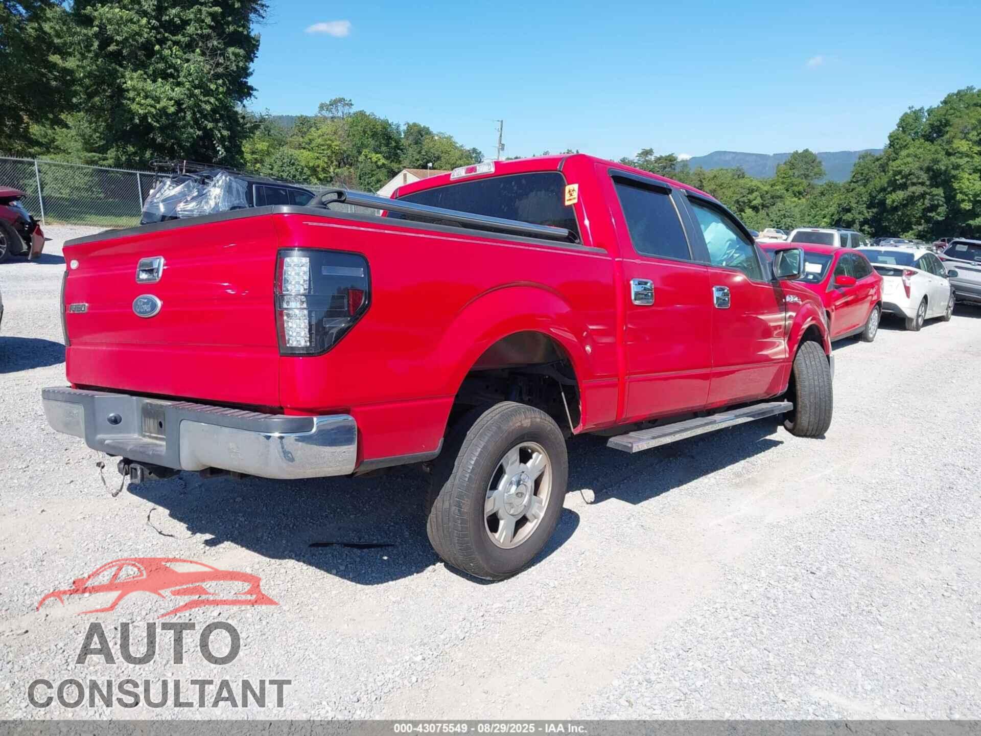 FORD F-150 2010 - 1FTEW1C8XAFA69059