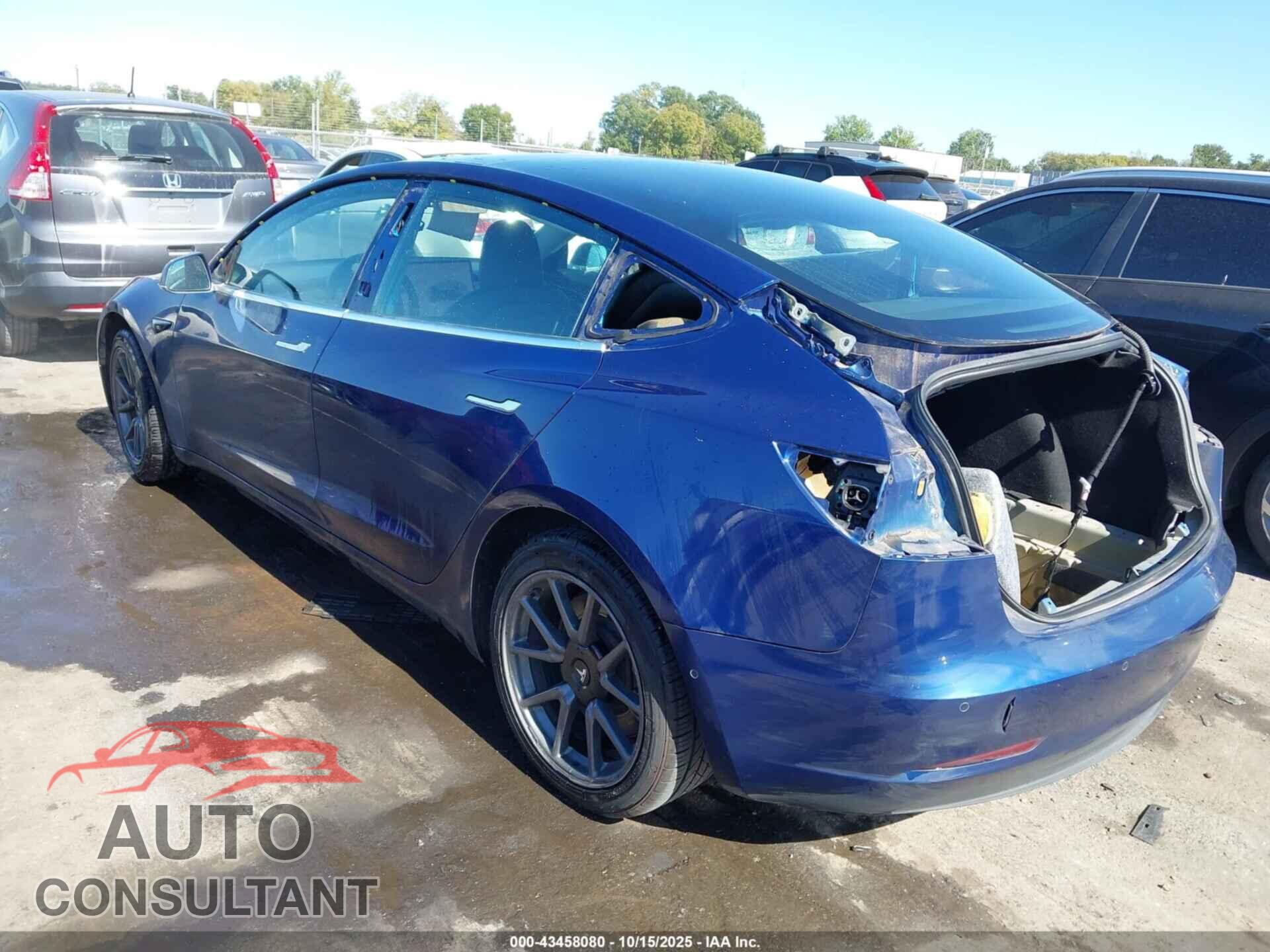 TESLA MODEL 3 2019 - 5YJ3E1EA9KF411696