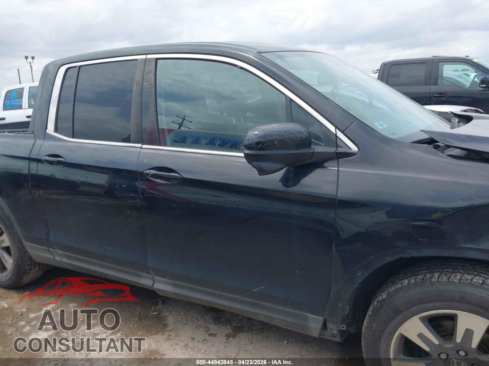 HONDA RIDGELINE 2019 - 5FPYK2F66KB005588