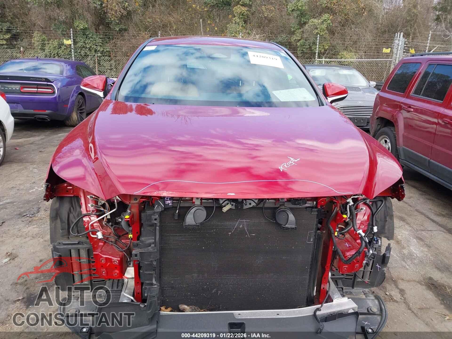 LEXUS RX 2025 - 2T2BAMBA0SC055586