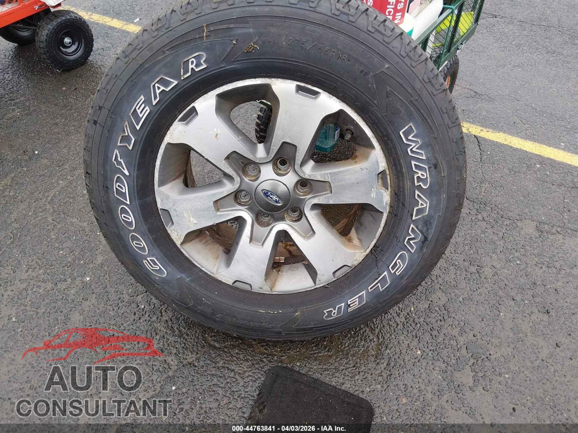 FORD F-150 2013 - 1FTFX1EFXDFD87460