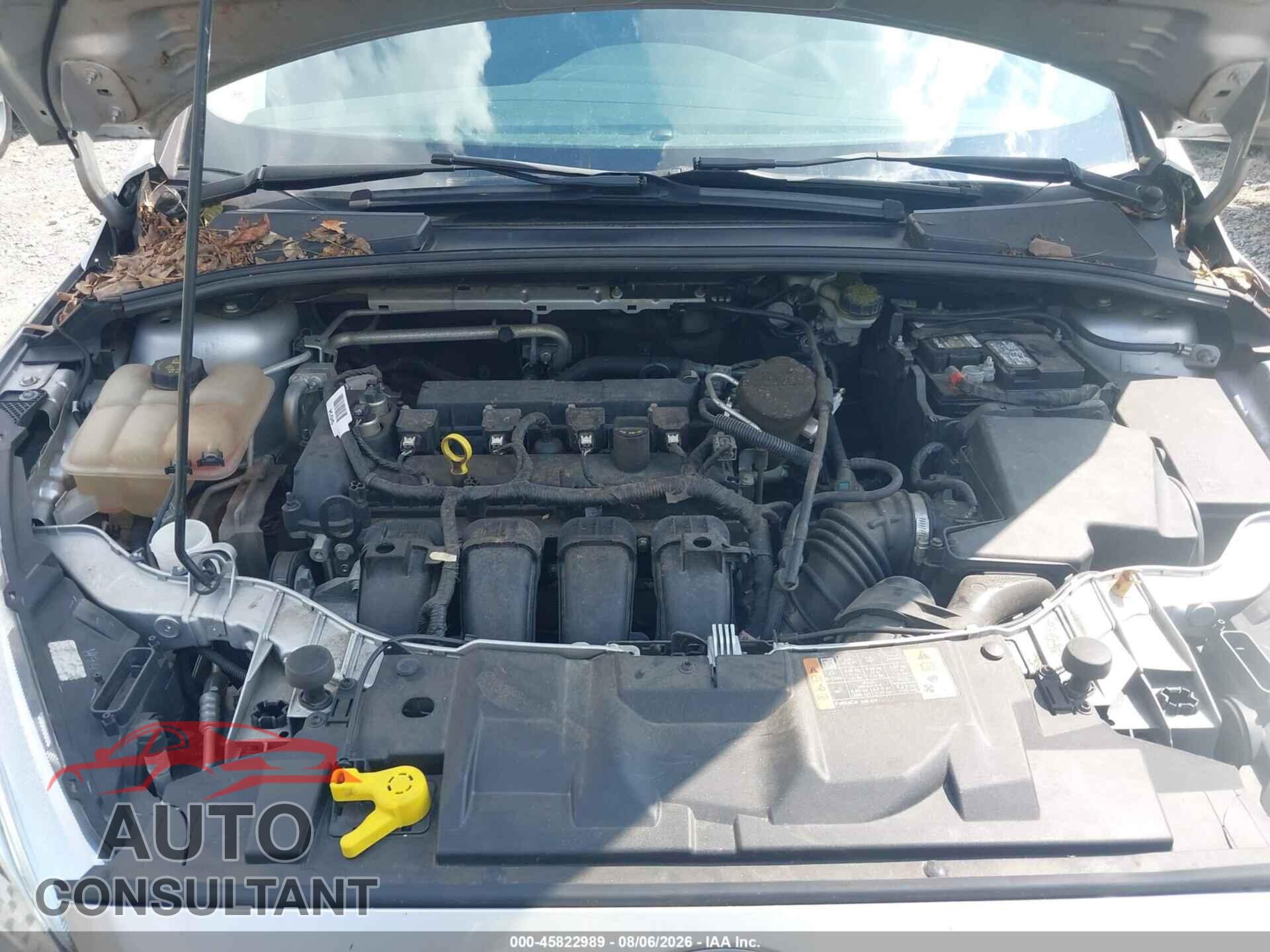 FORD FOCUS 2016 - 1FADP3F2XGL310856