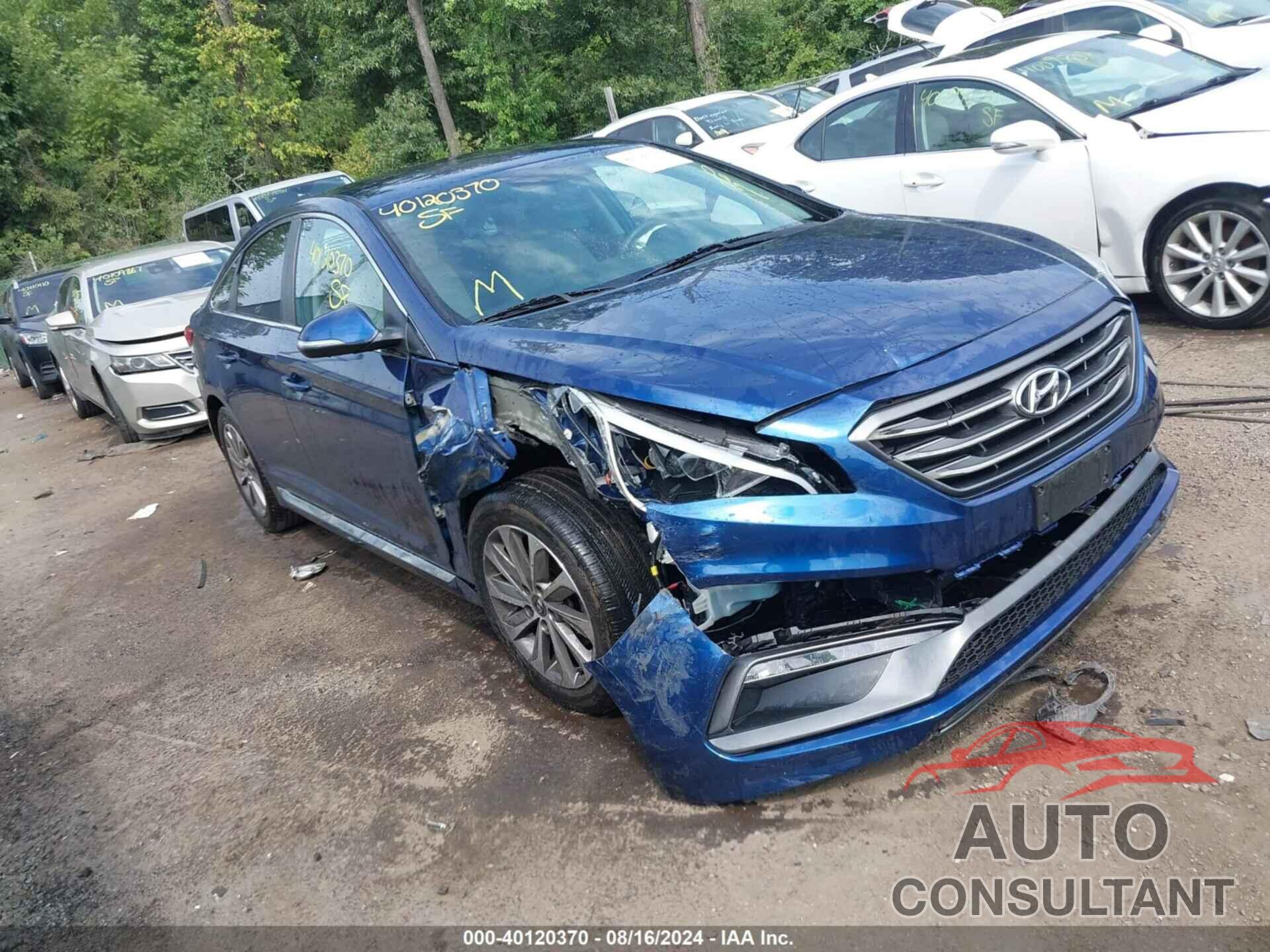 HYUNDAI SONATA 2016 - 5NPE34AF3GH351666