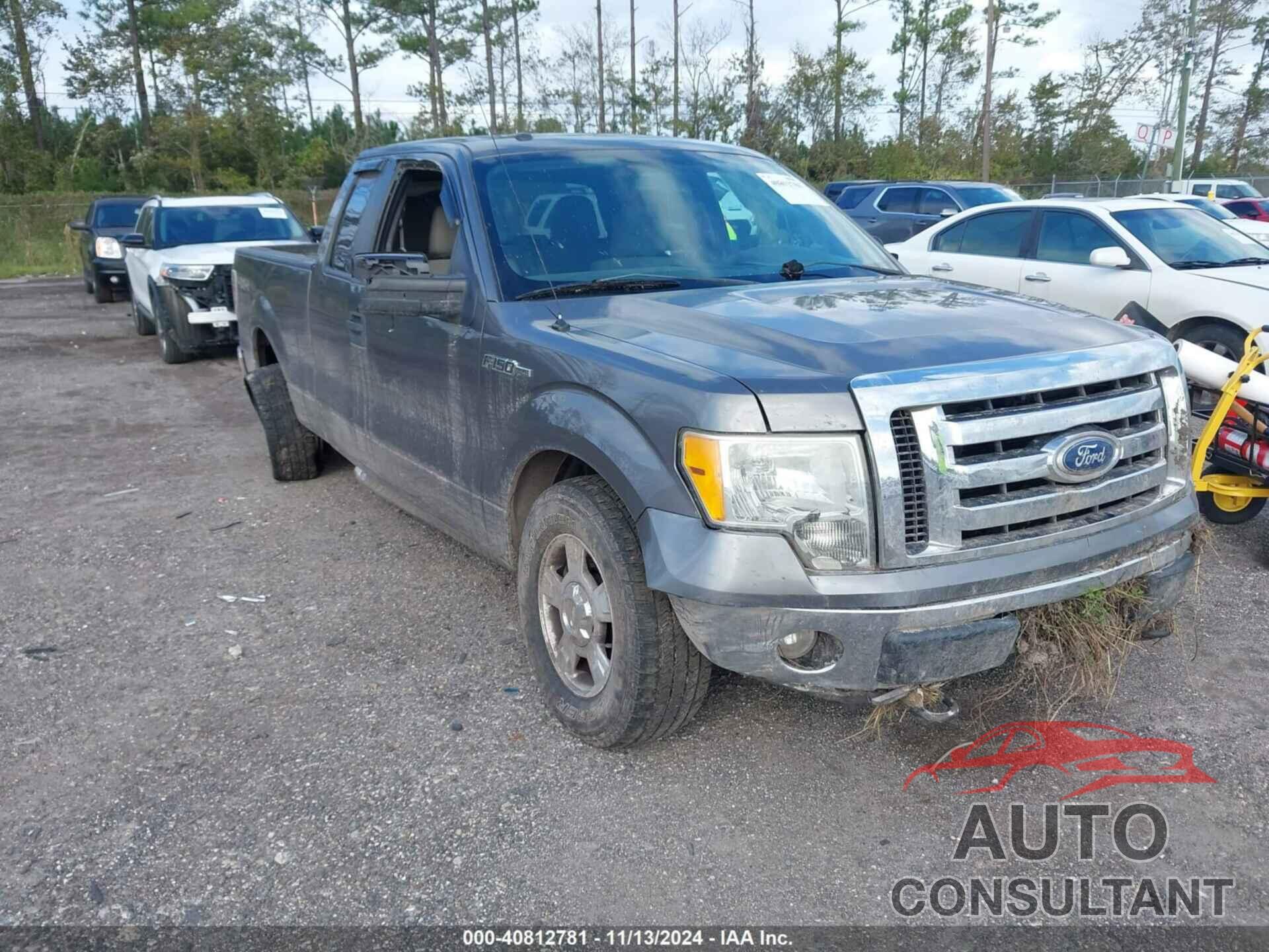 FORD F-150 2010 - 1FTFX1EV9AFC87675