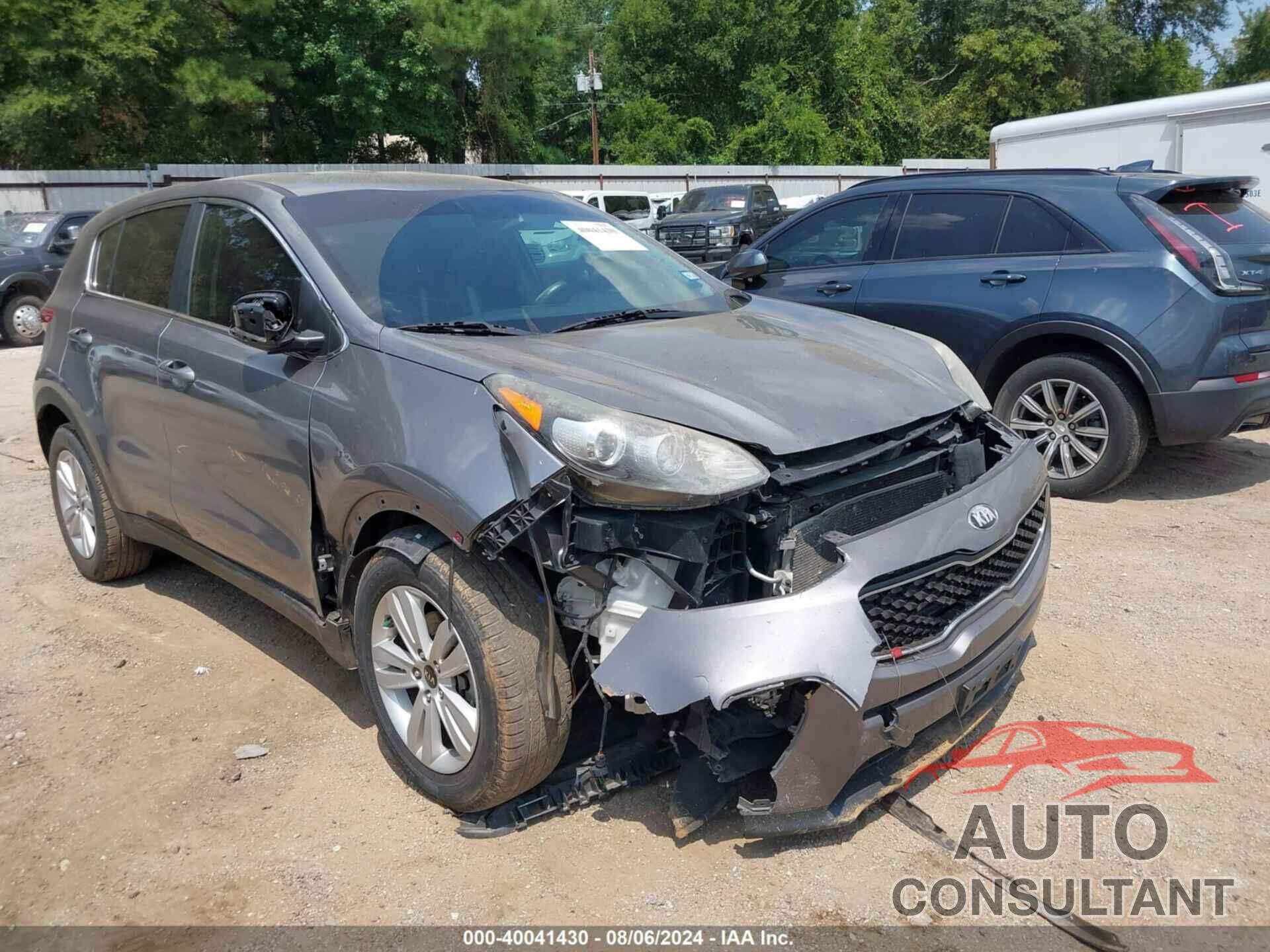 KIA SPORTAGE 2019 - KNDPM3AC7K7511289