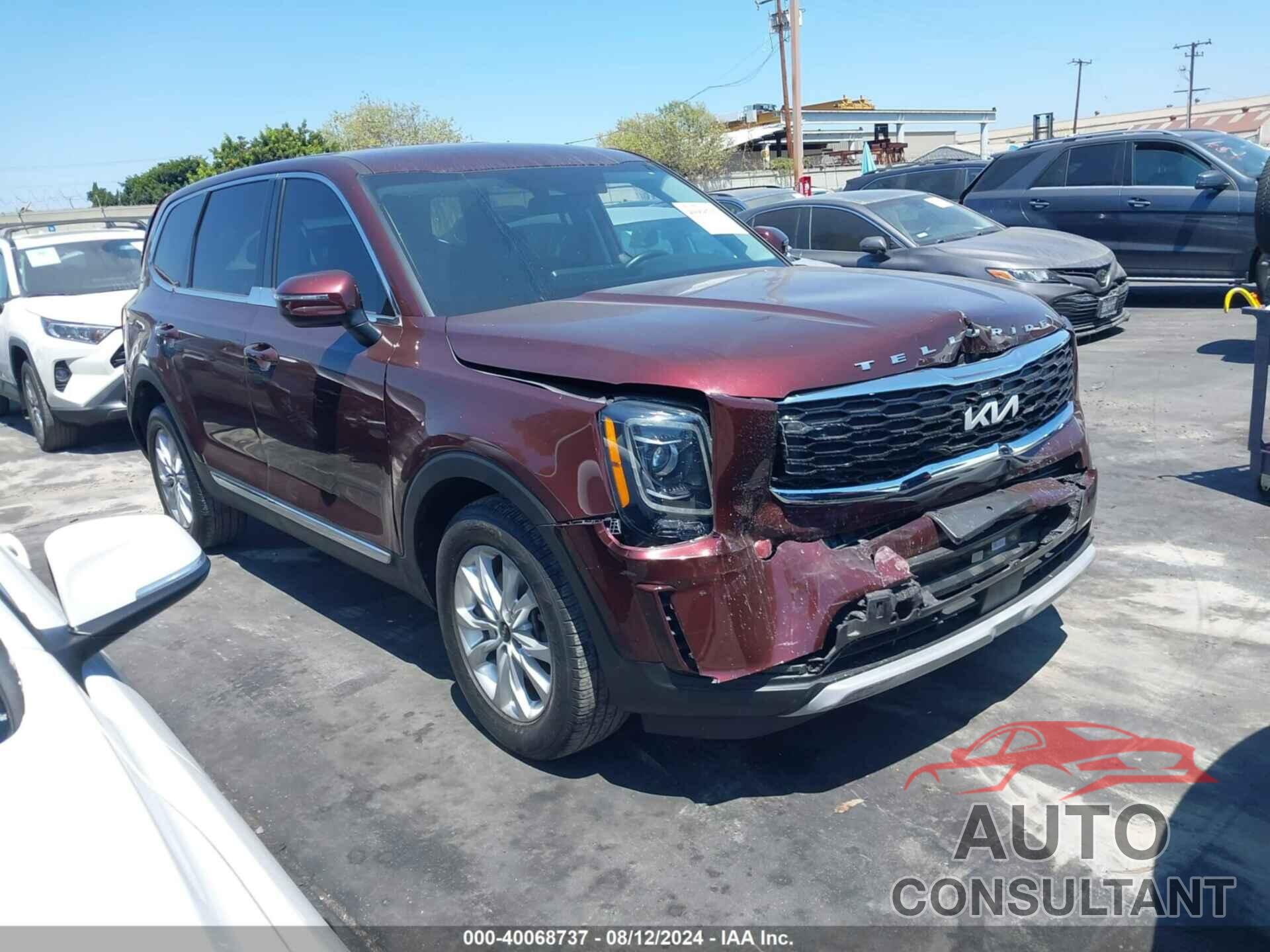 KIA TELLURIDE 2022 - 5XYP24HC3NG205490