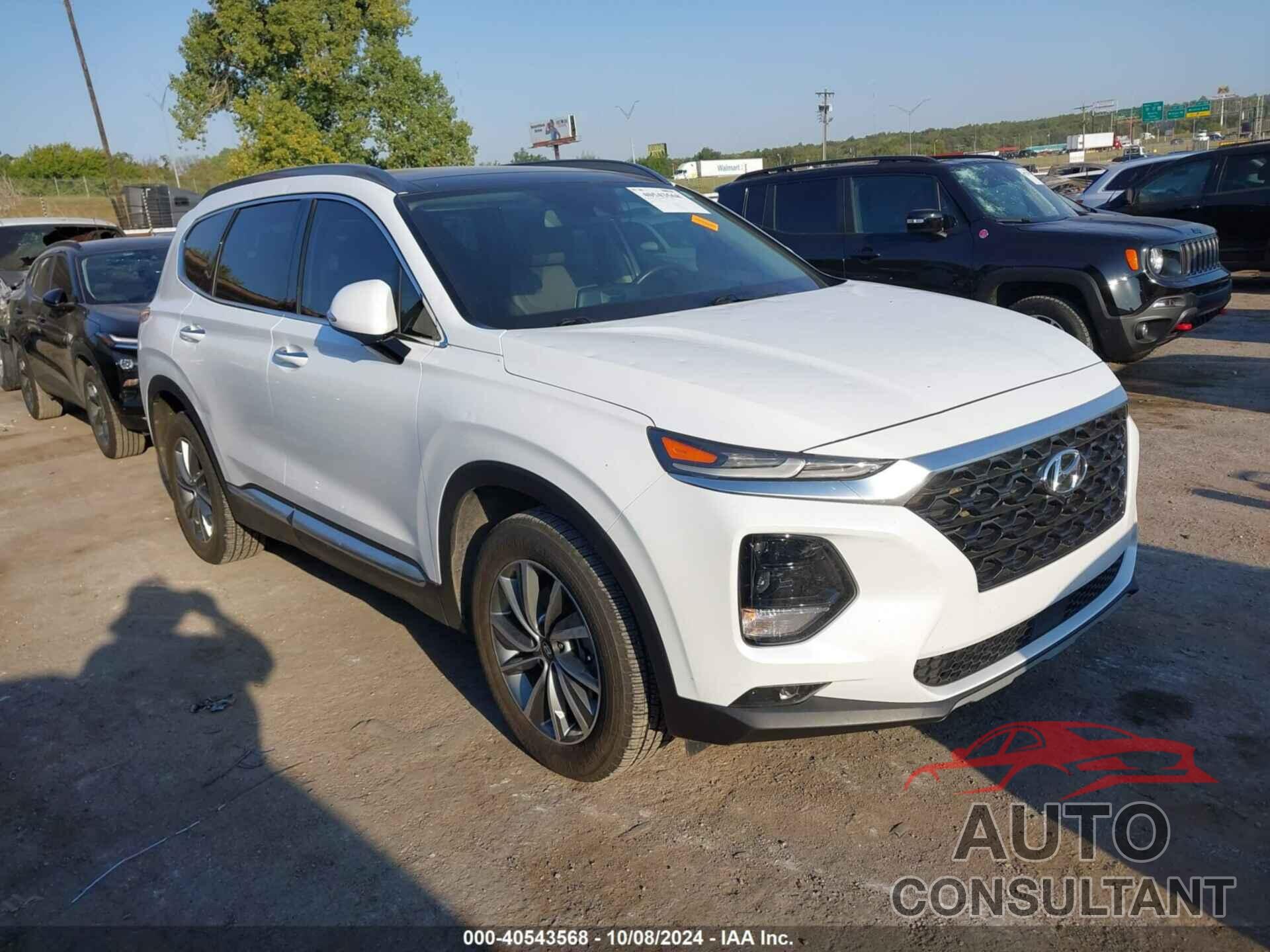 HYUNDAI SANTA FE 2019 - 5NMS53ADXKH039811