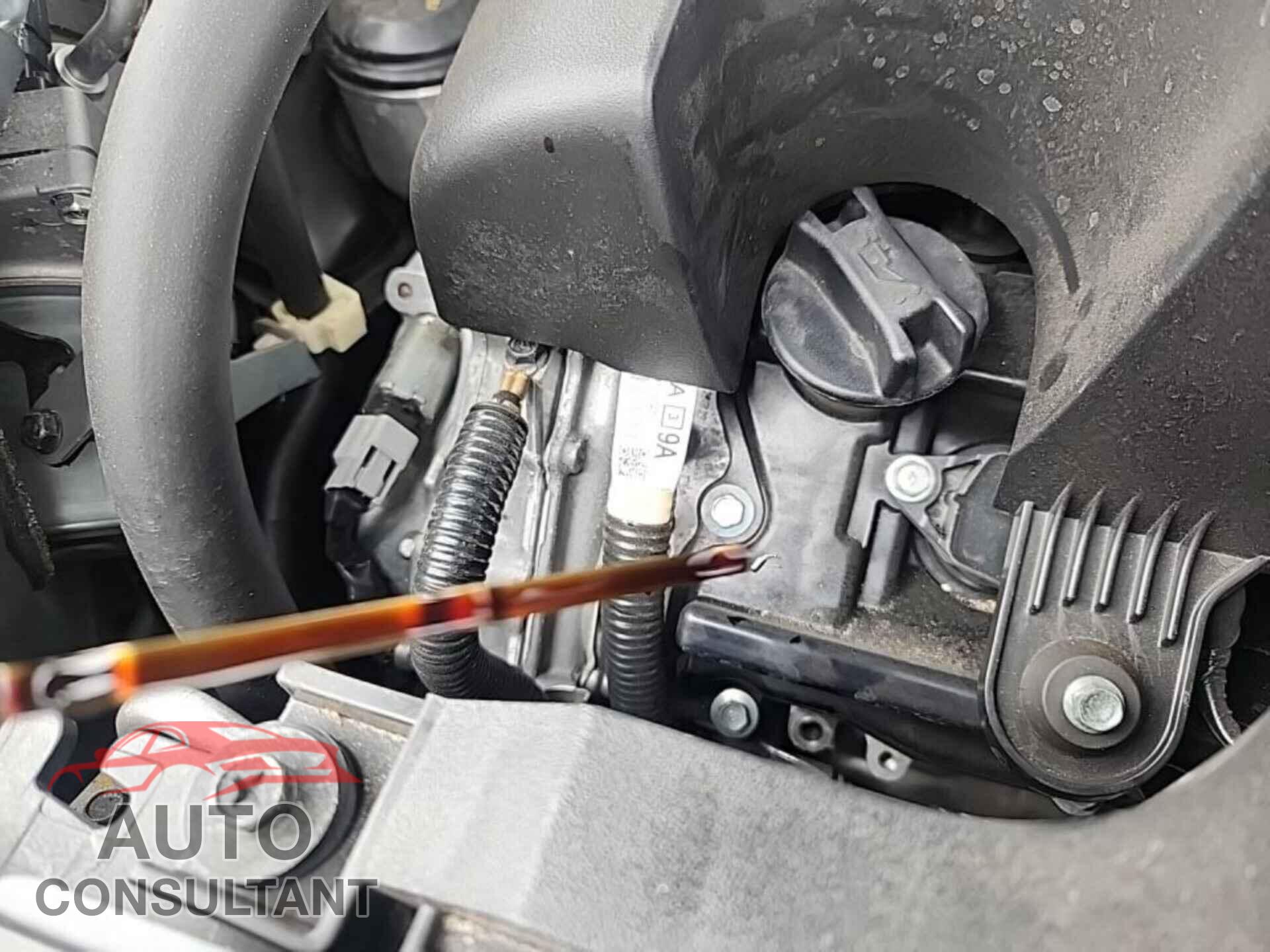 NISSAN MURANO 2023 - 5N1AZ2BS0PC110717