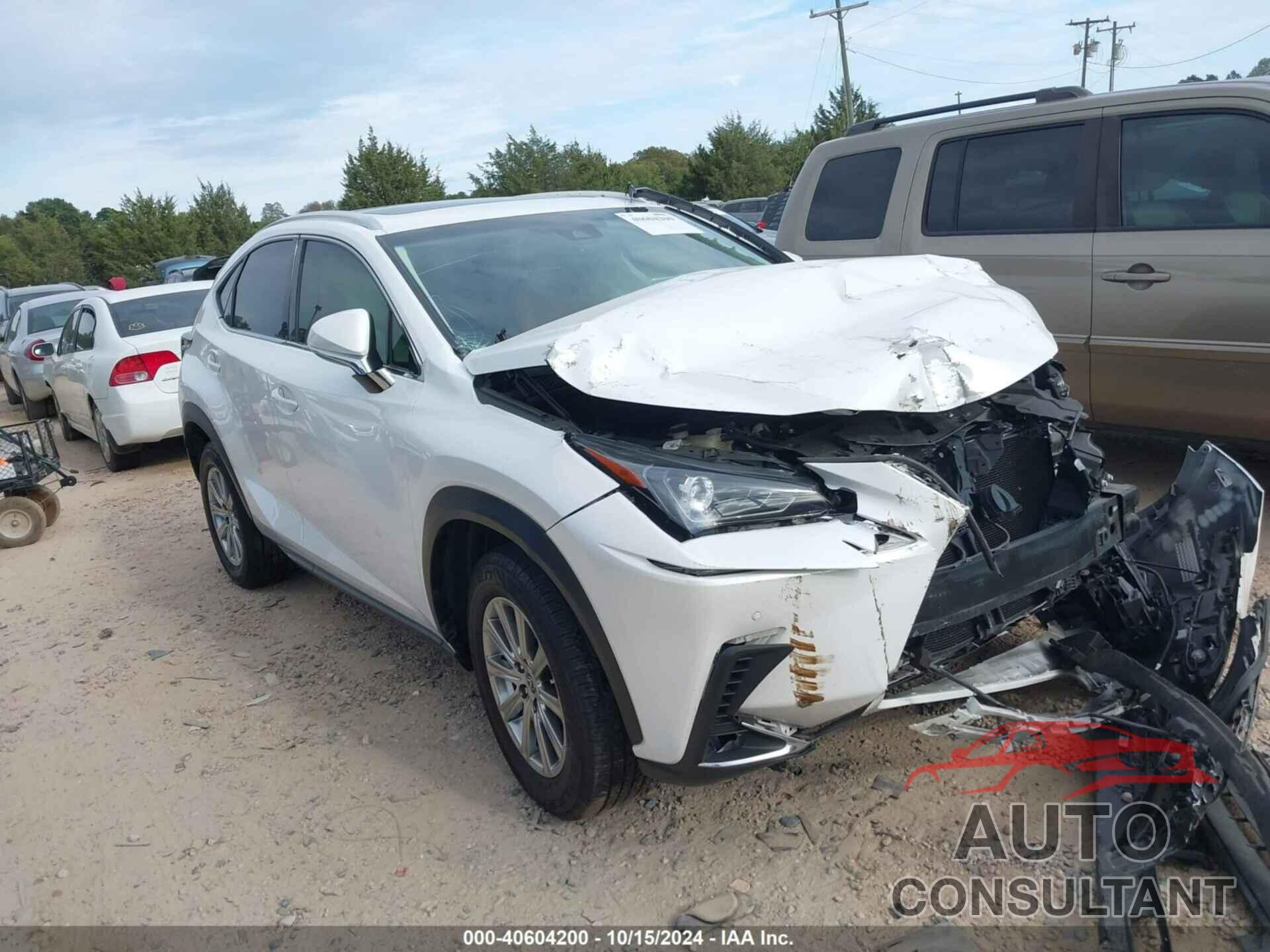 LEXUS NX 300 2019 - JTJYARBZ8K2142133