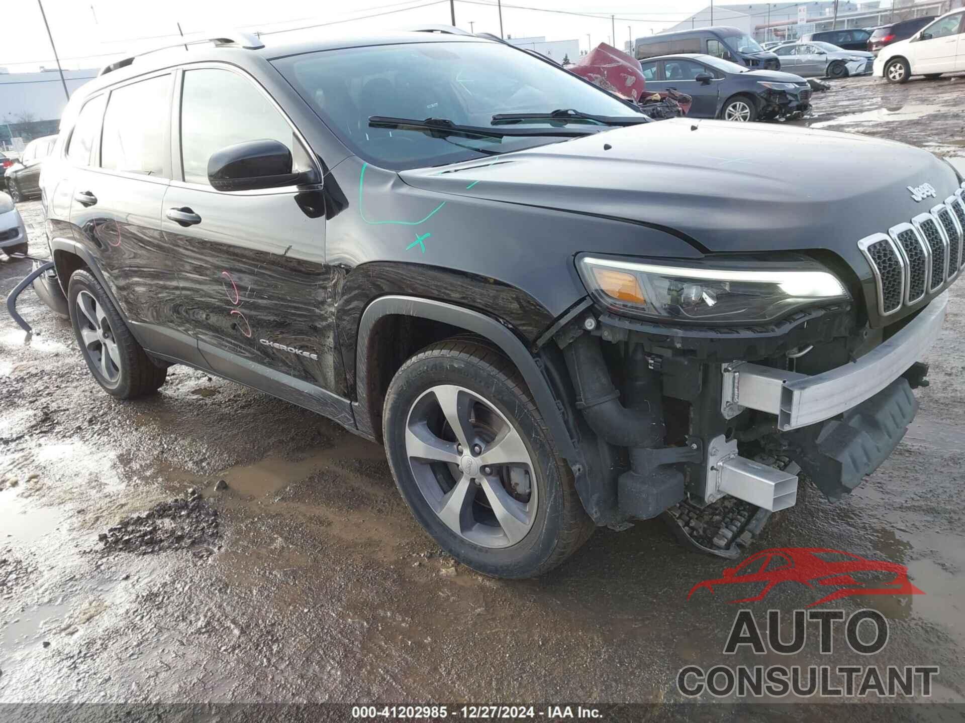 JEEP CHEROKEE 2019 - 1C4PJMDN1KD490100