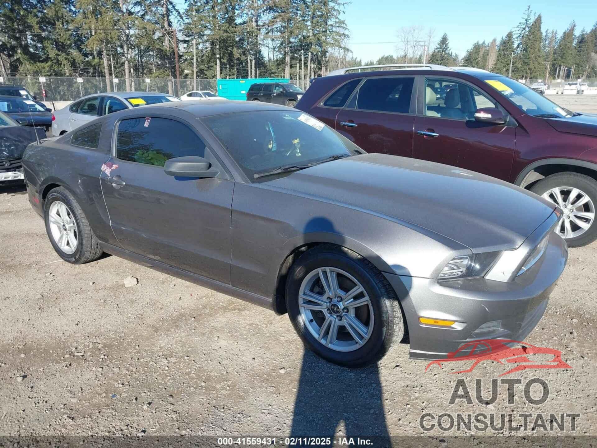 FORD MUSTANG 2014 - 1ZVBP8AM3E5267564