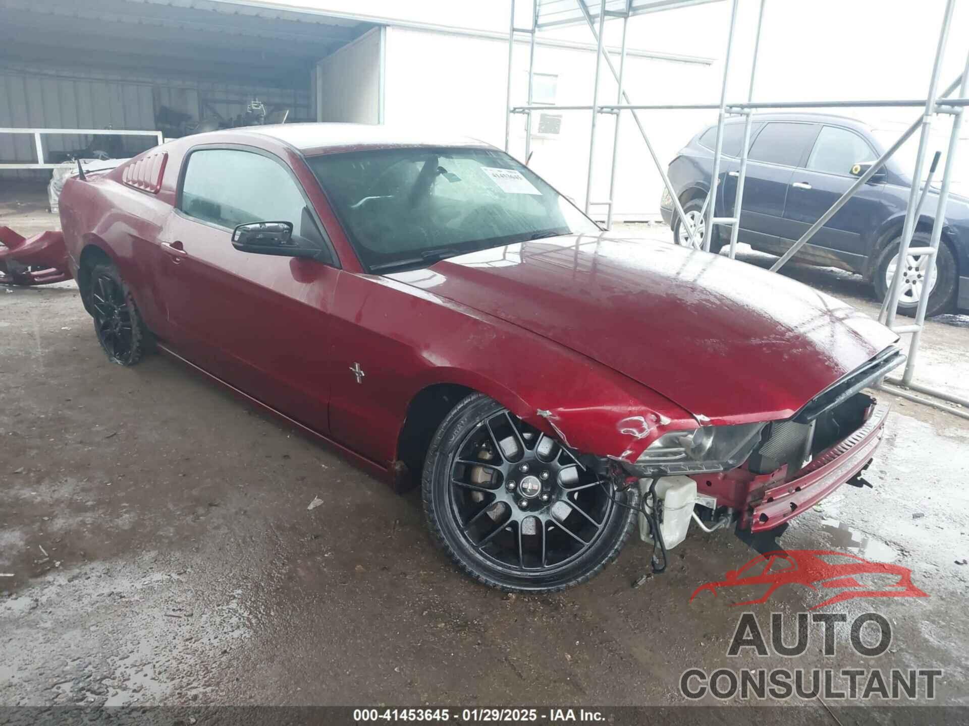 FORD MUSTANG 2014 - 1ZVBP8AMXE5316307